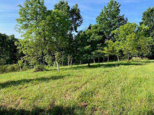 0 Mann Road Property Photo 21