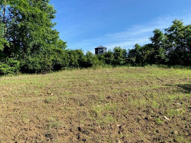 0 Mann Road Property Photo 22
