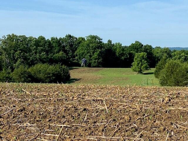 0 Mann Road Property Photo 28