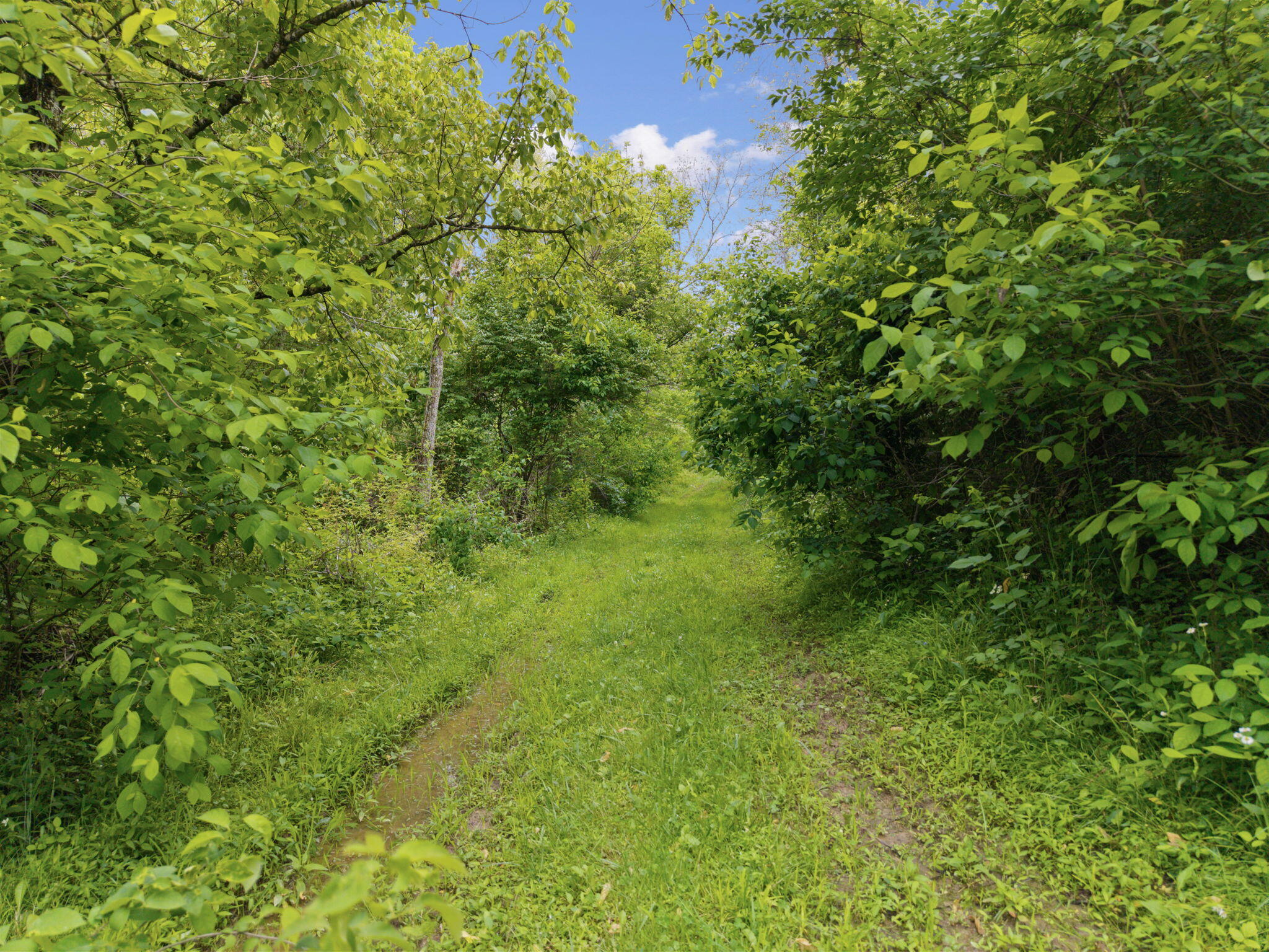 925 B Lockmier Road Property Photo 12