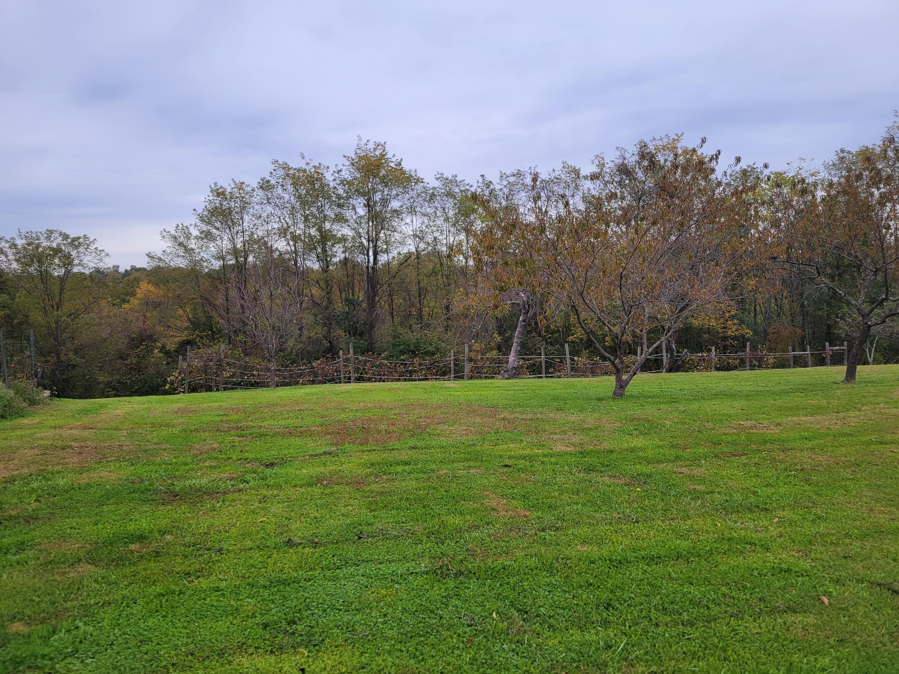 220 Old Eagle Tunnel Road Property Photo 13
