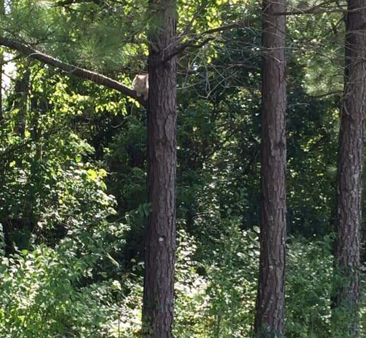 220 Old Eagle Tunnel Road Property Photo 34
