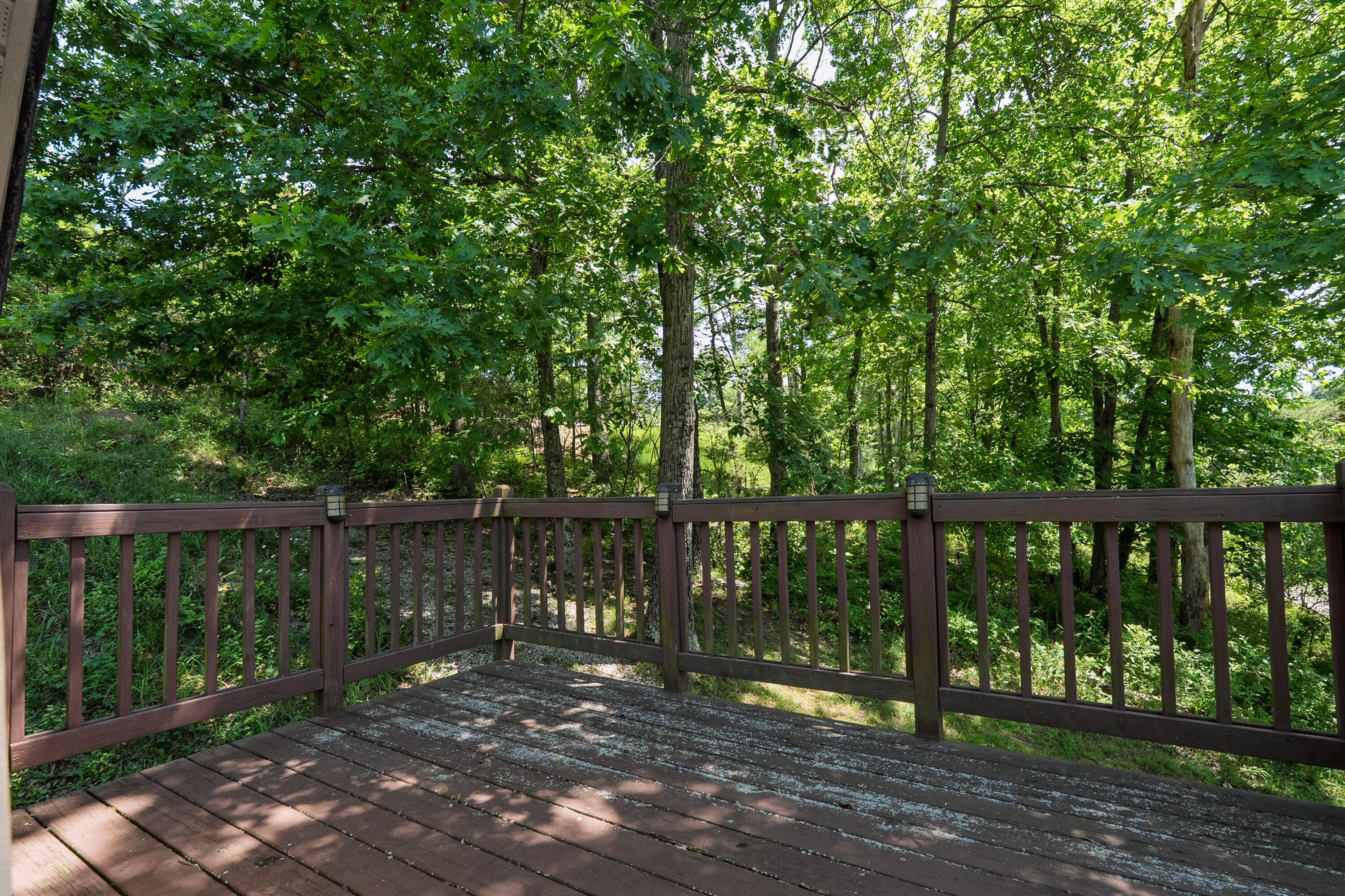 250 Ashcraft Road Property Photo 46
