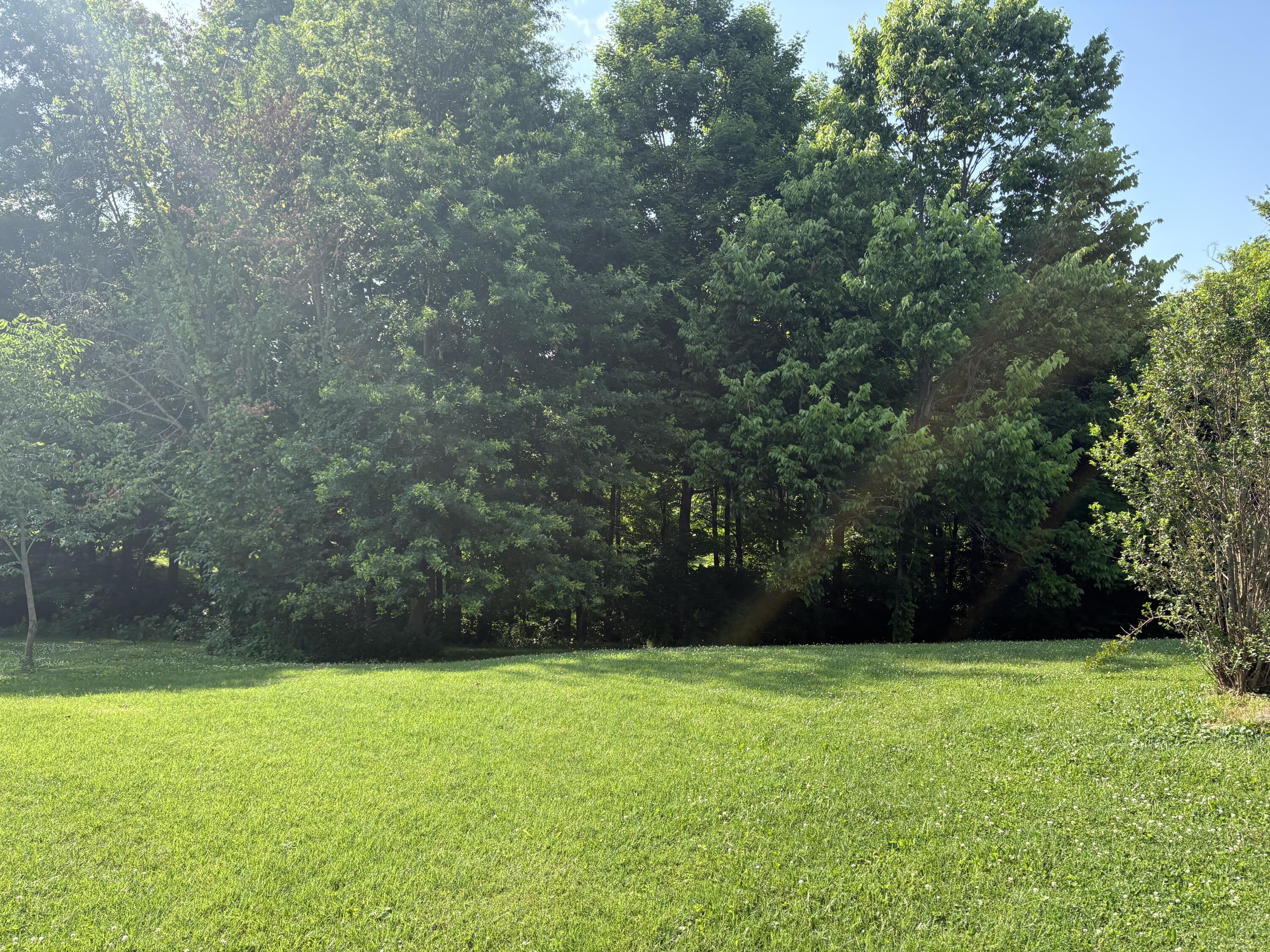1814 Perry Lane Property Photo 17