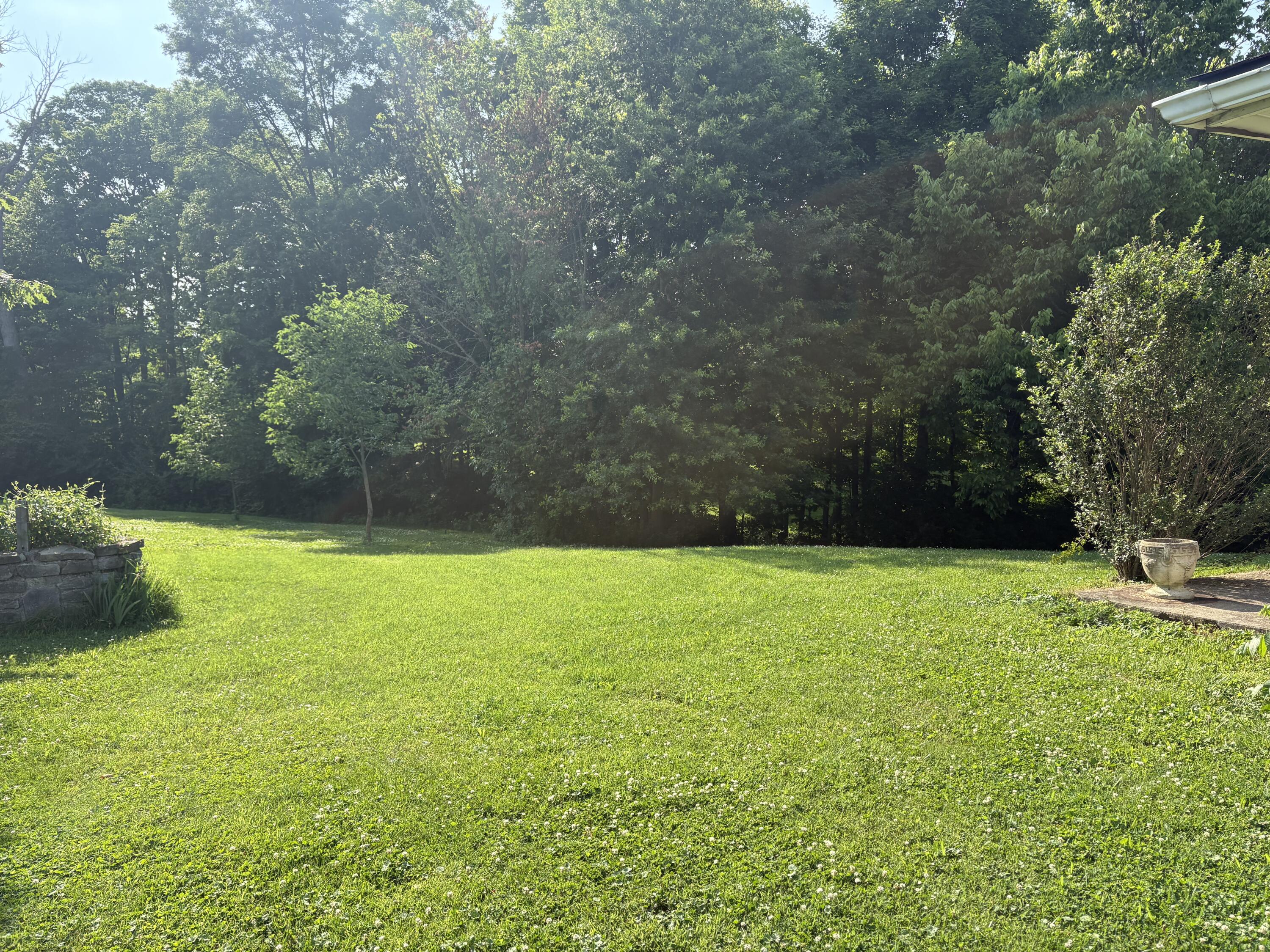 1814 Perry Lane Property Photo 20