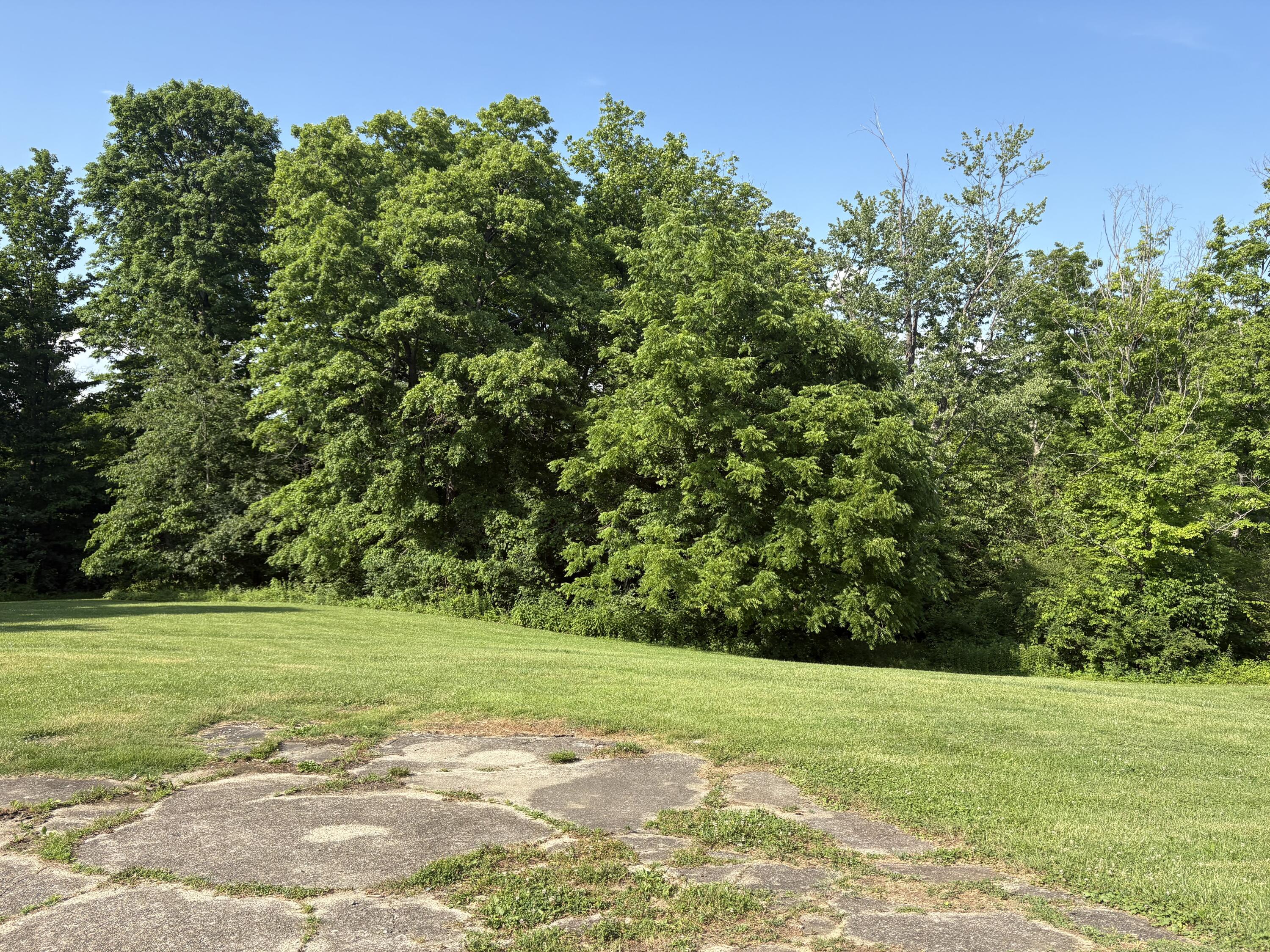 1814 Perry Lane Property Photo 23