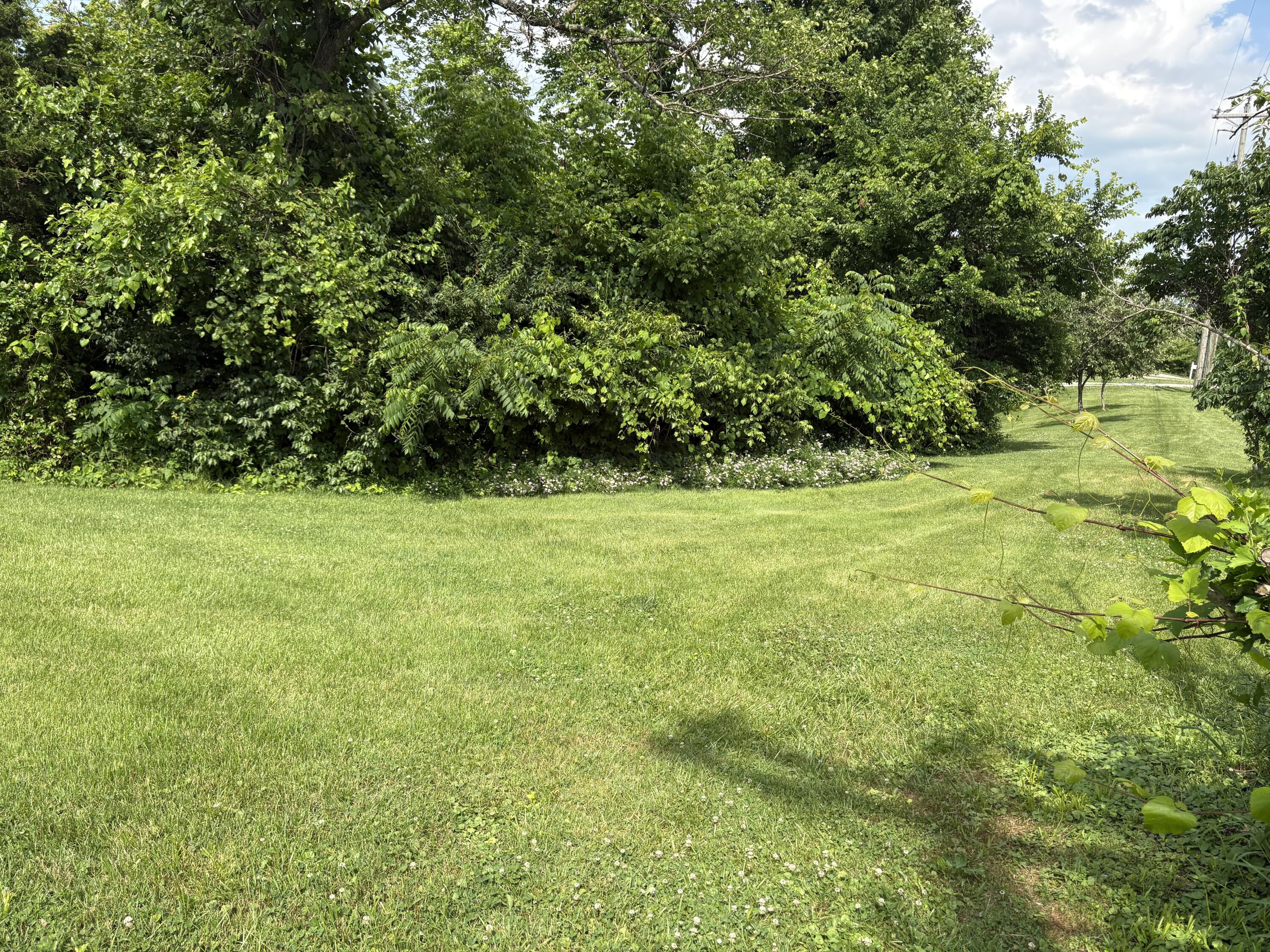 1814 Perry Lane Property Photo 35