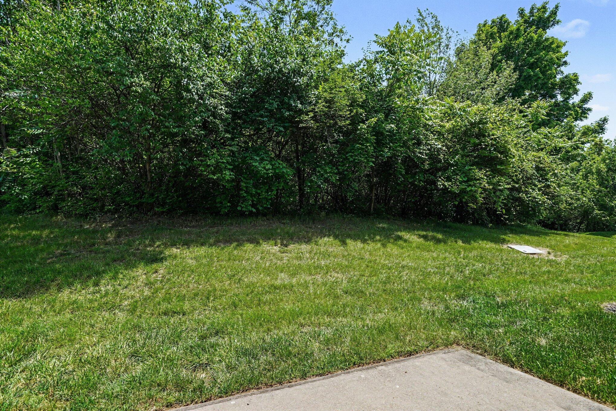 2034 Evening Star Property Photo 24