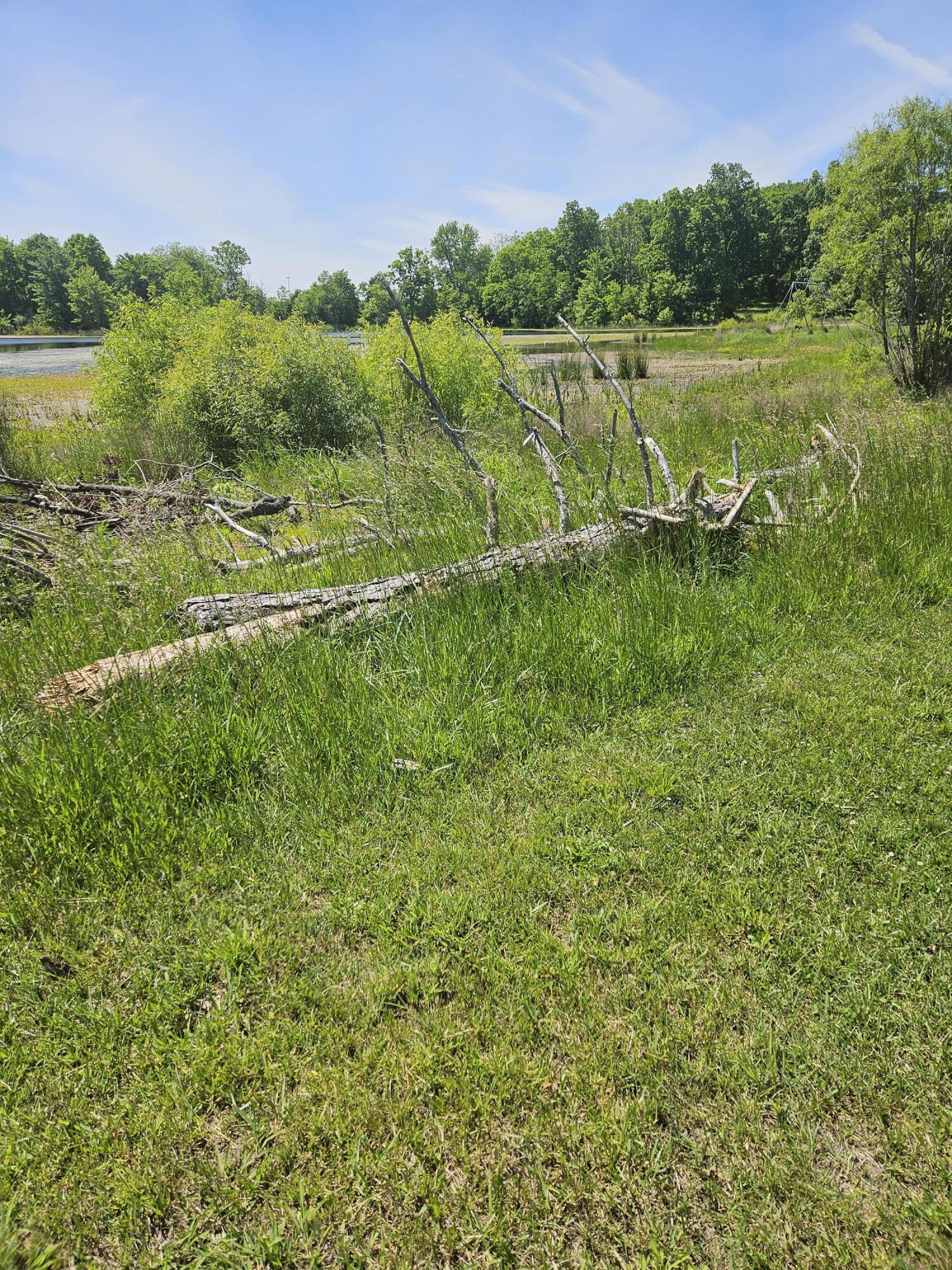 10068 Woeste Road Property Photo 12