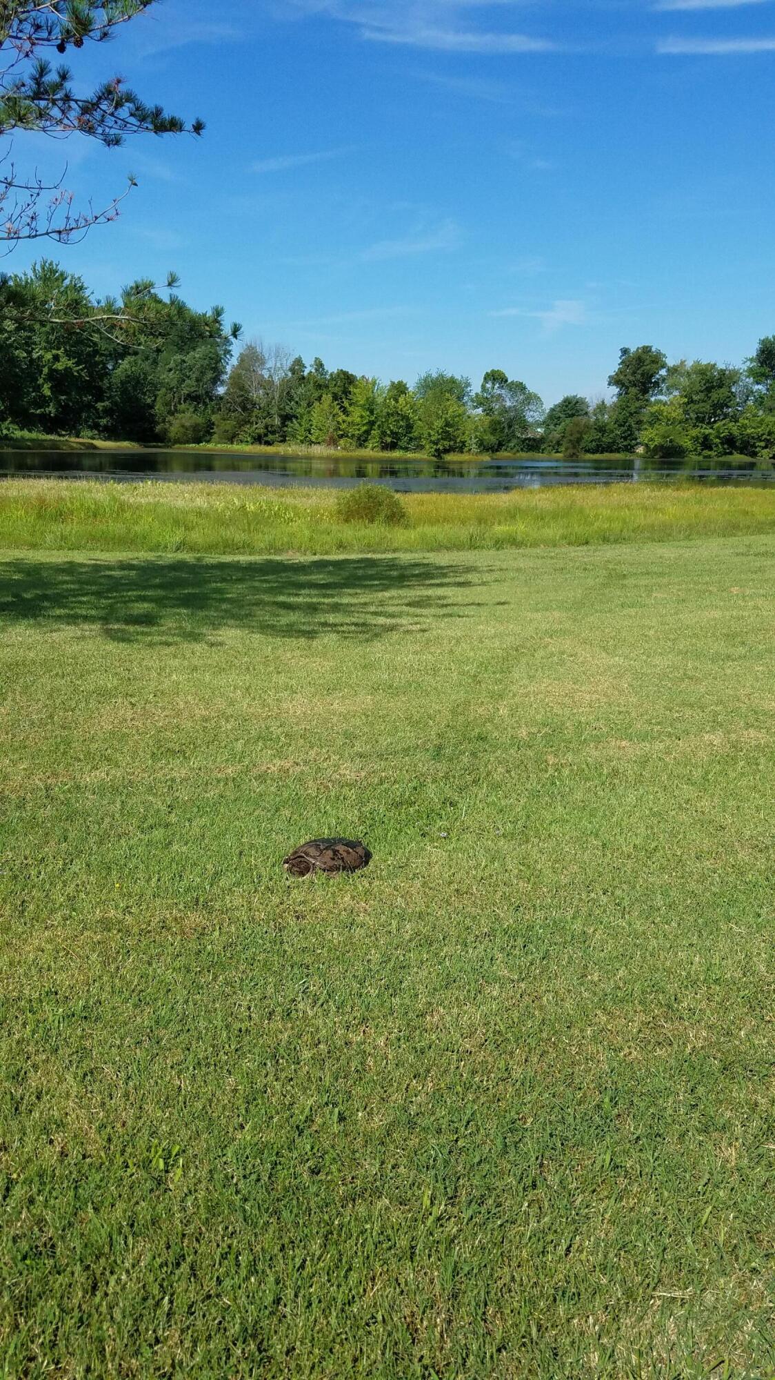 10068 Woeste Road Property Photo 18