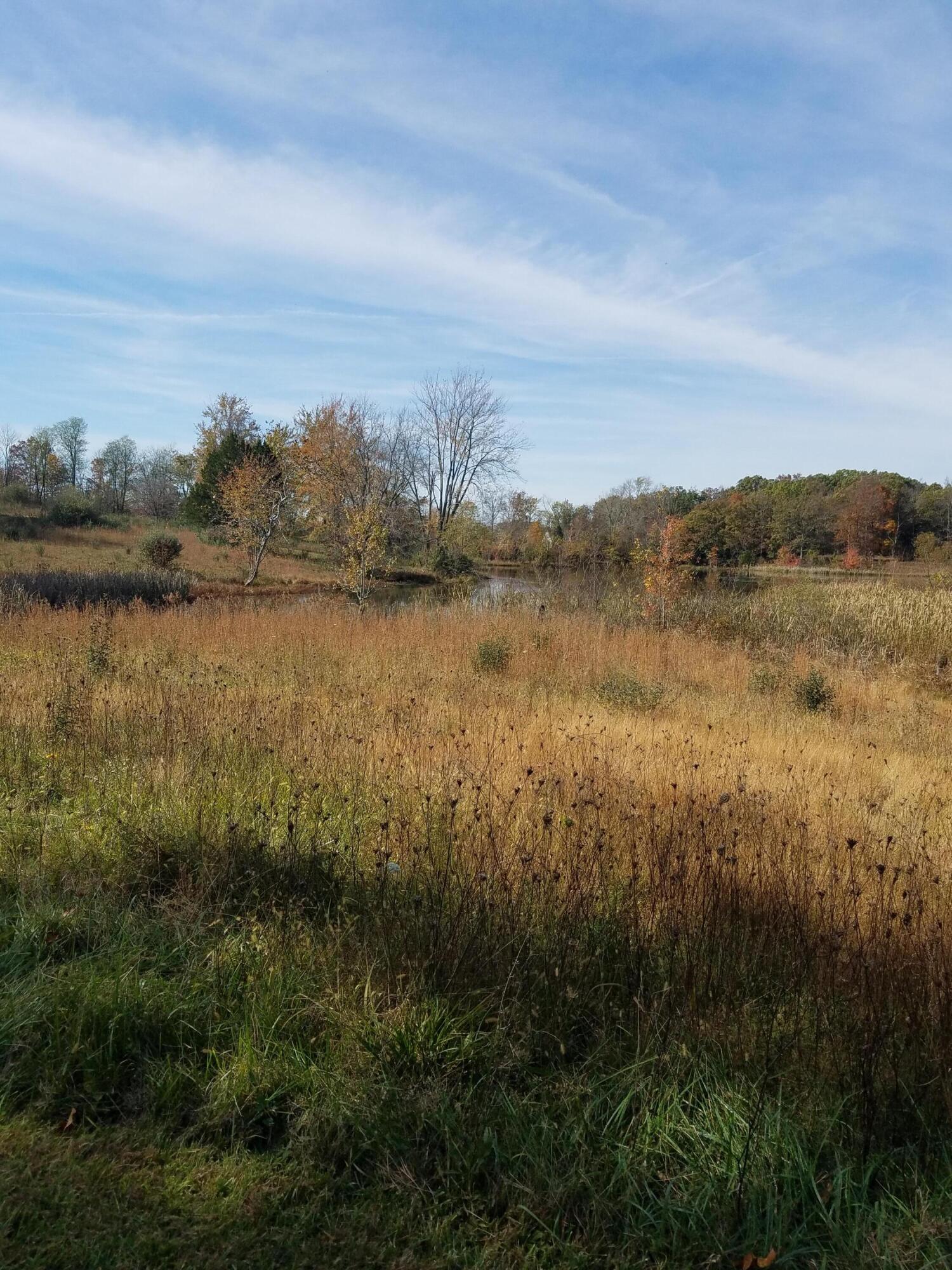 10068 Woeste Road Property Photo 25