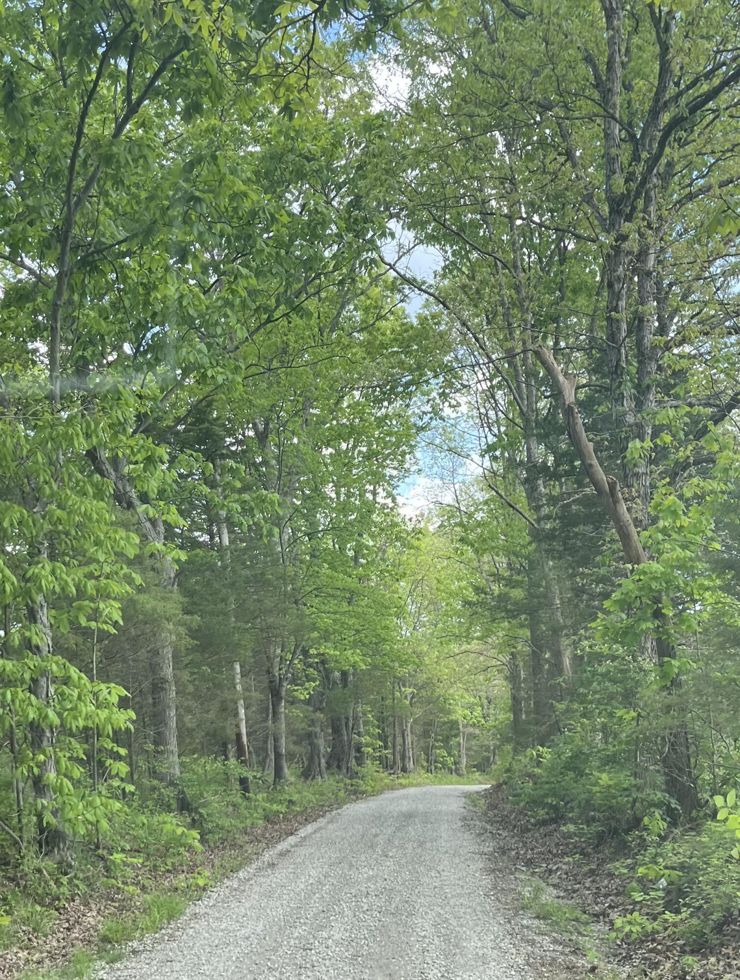 0 Old Ragtown Road Property Photo 8
