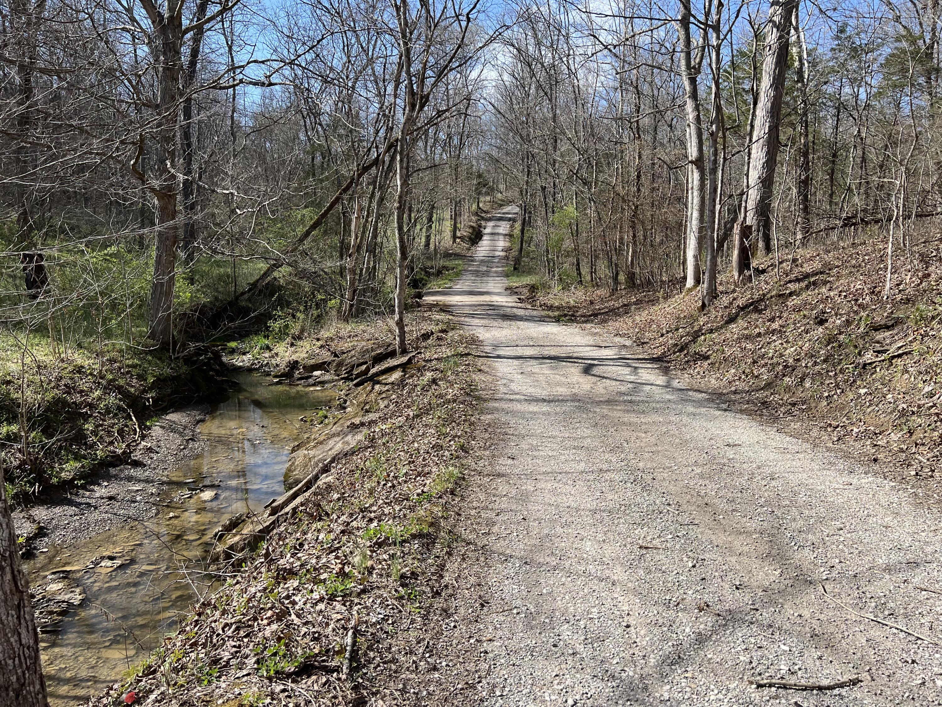 0 Old Ragtown Road Property Photo 11