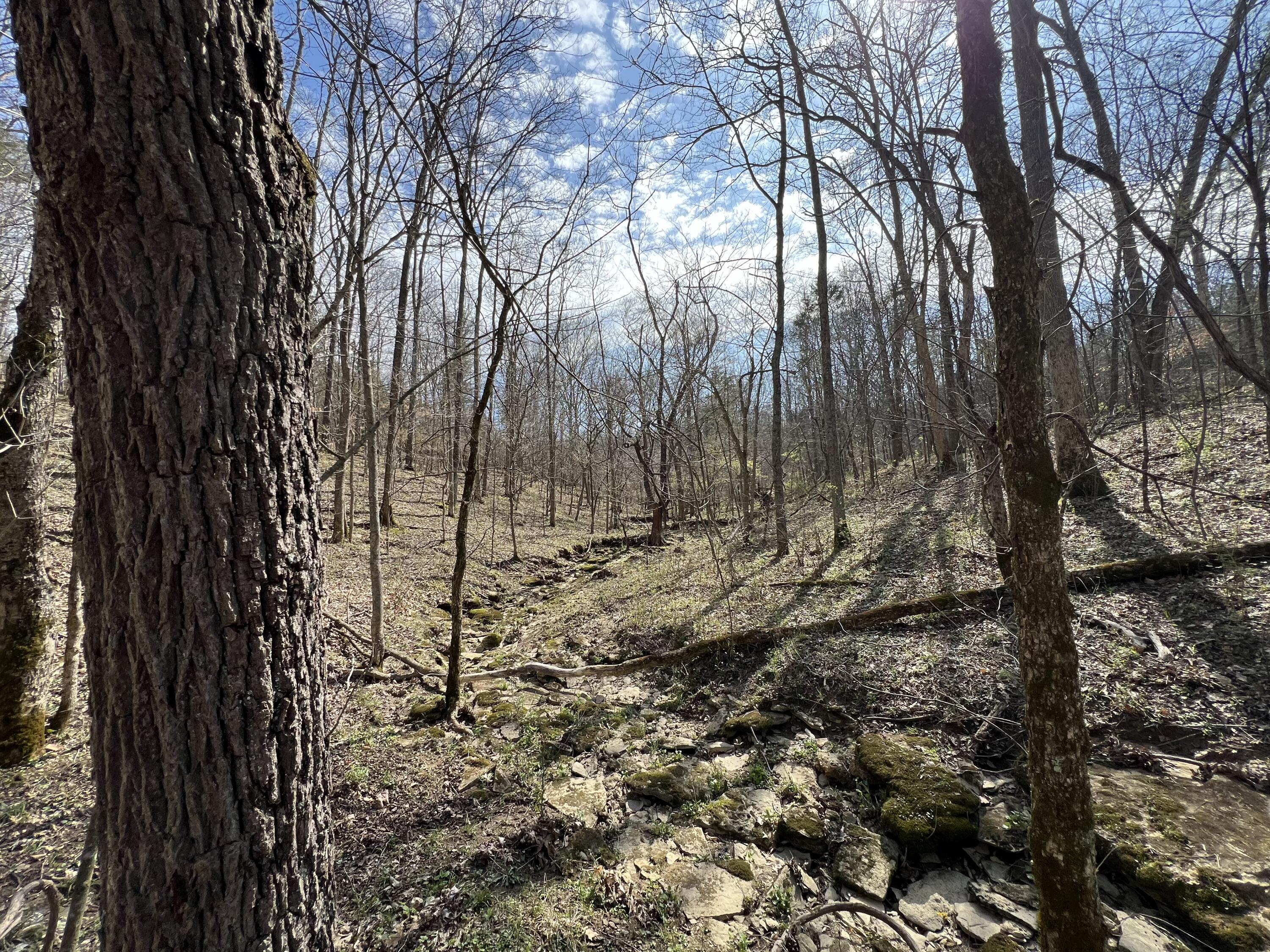 0 Old Ragtown Road Property Photo 12