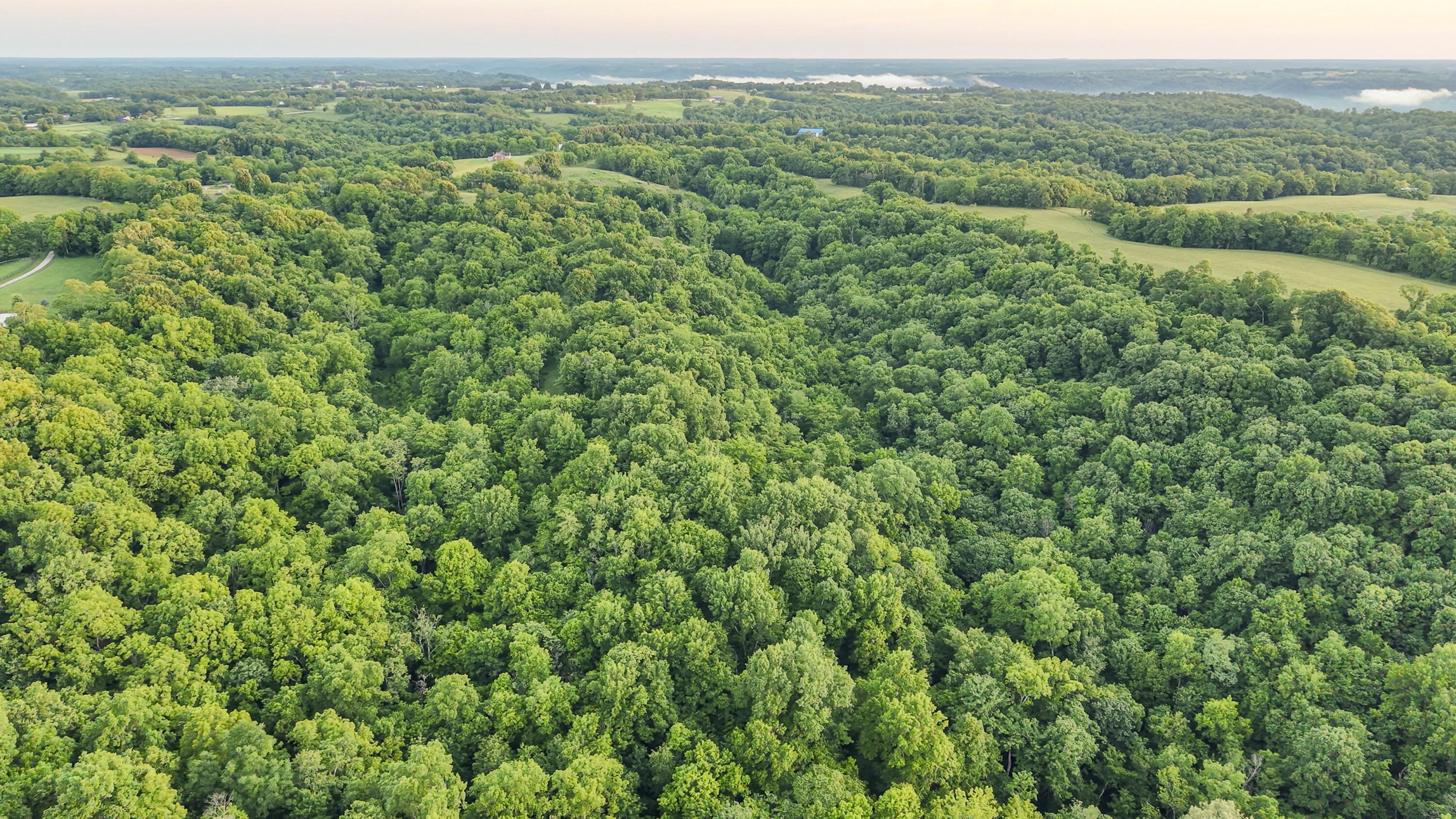480 Ac Dietrich Road Property Photo 5