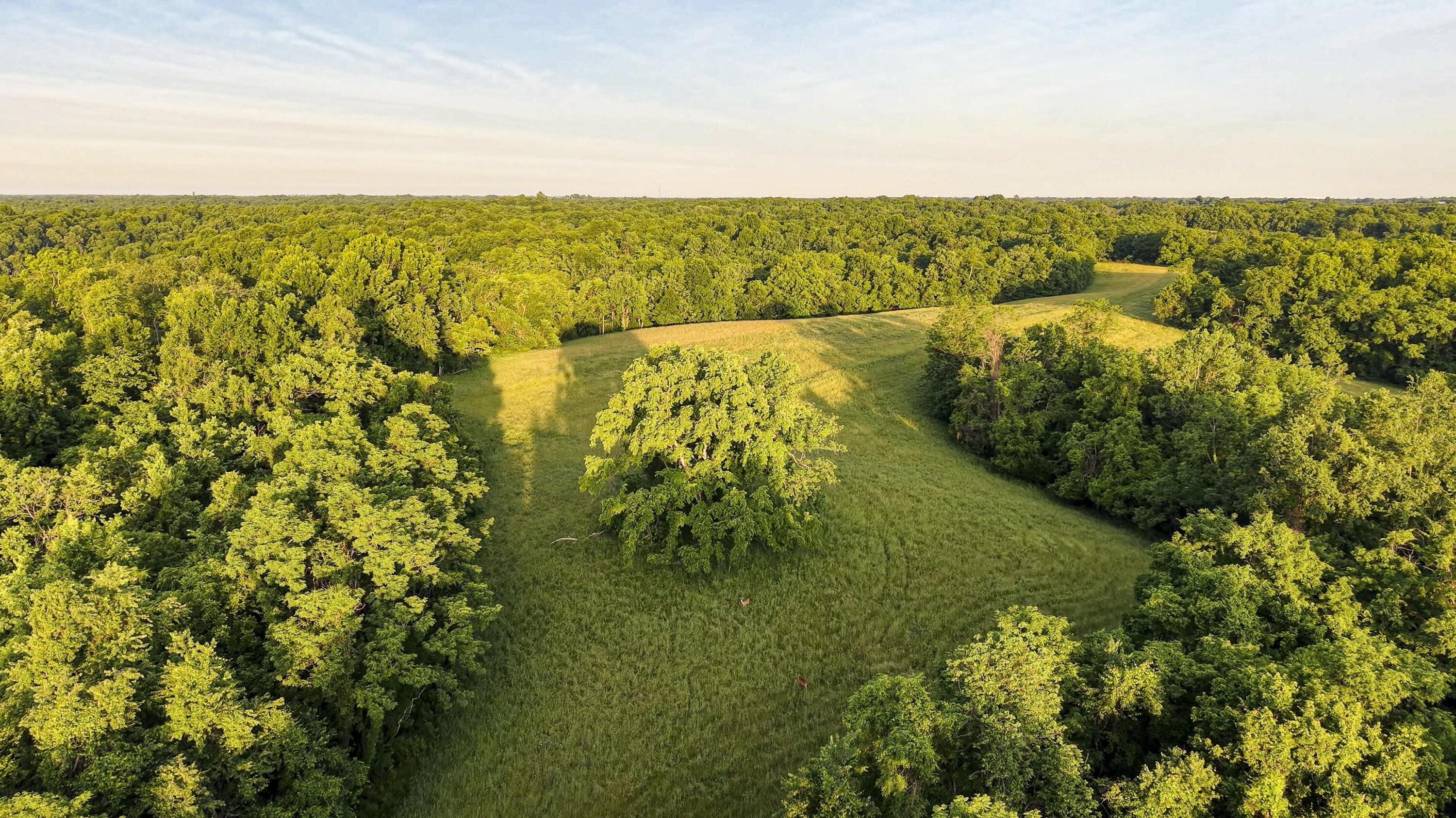 480 Ac Dietrich Road Property Photo 6