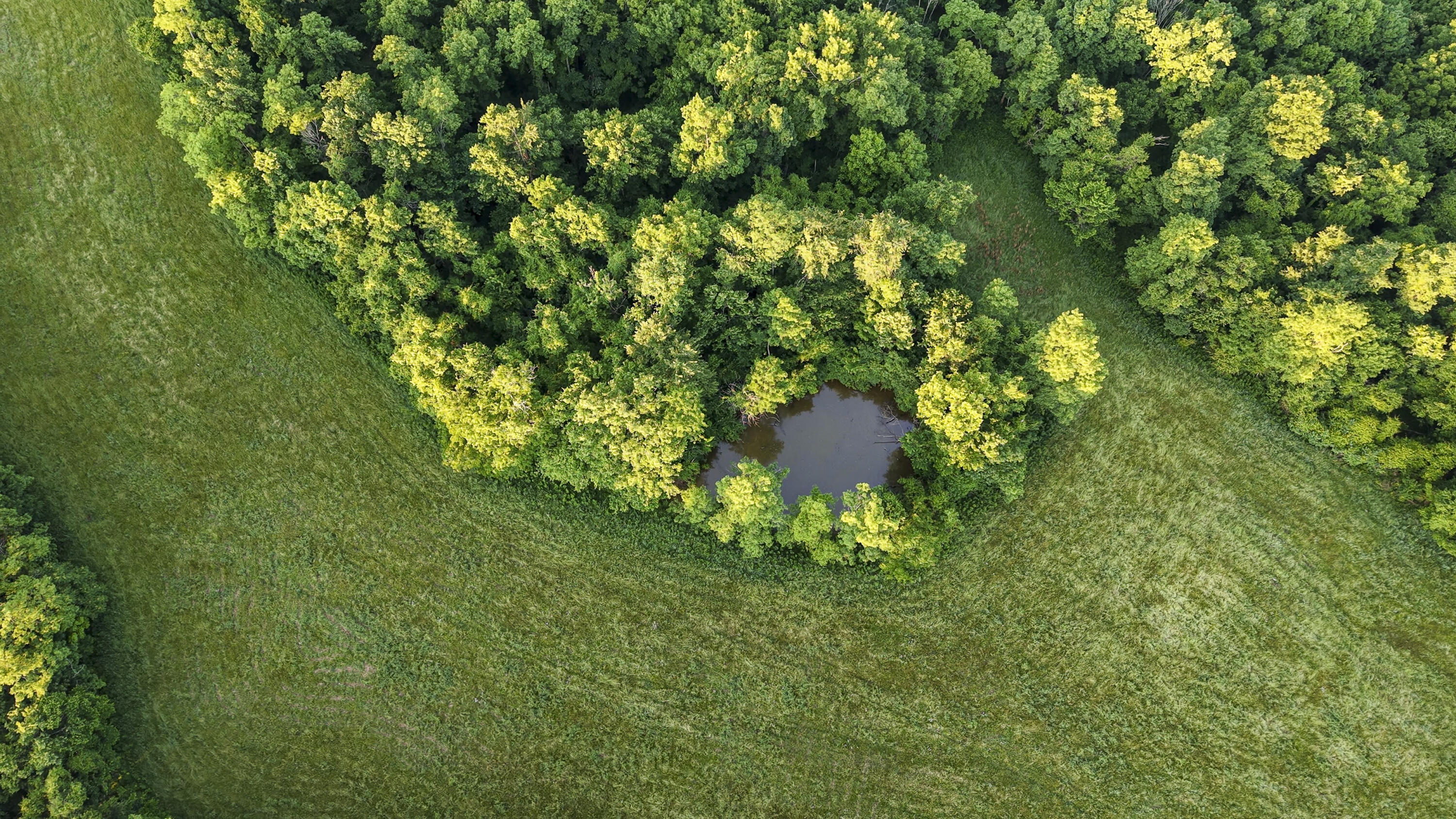 480 Ac Dietrich Road Property Photo 9