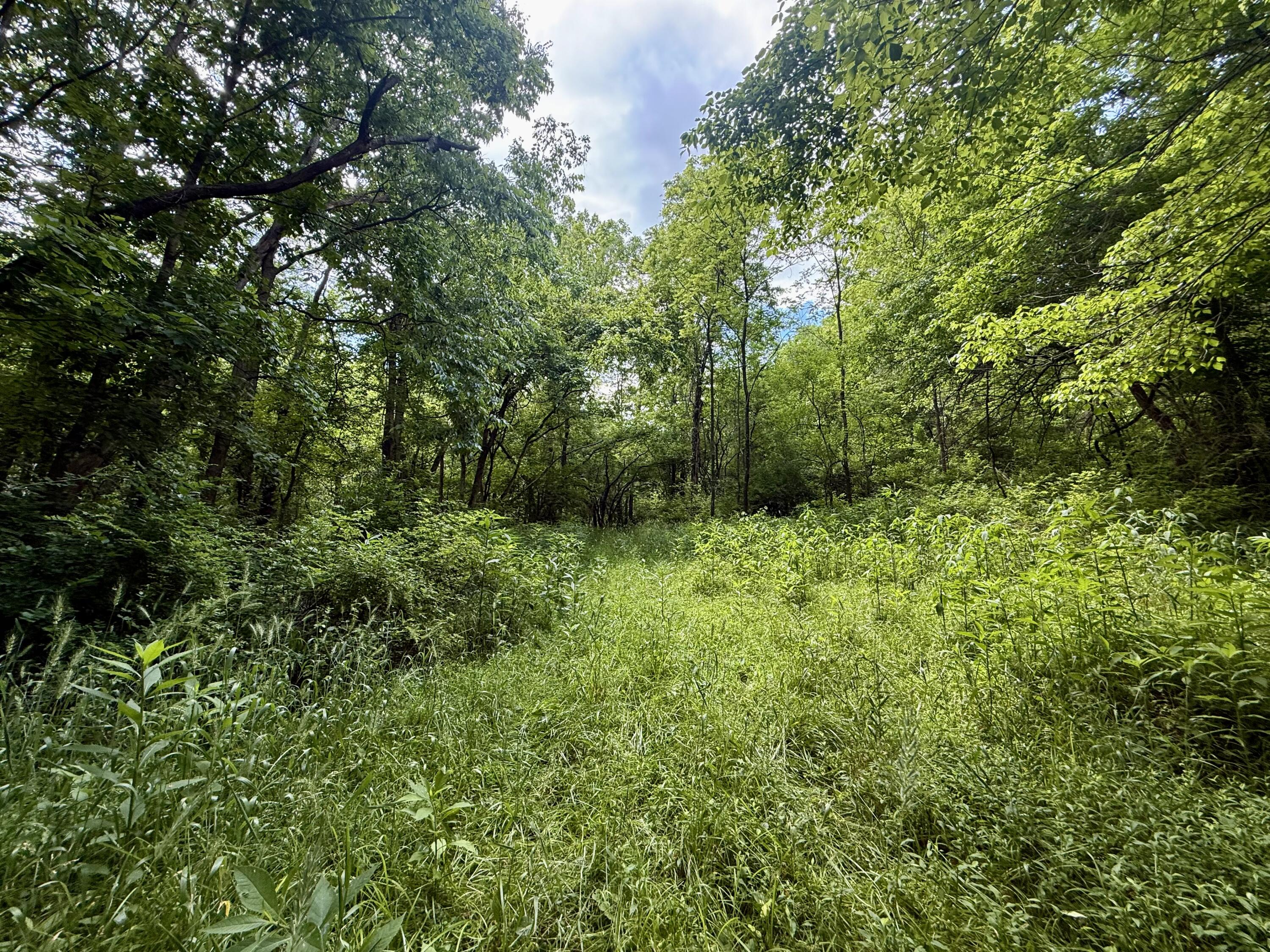 480 Ac Dietrich Road Property Photo 13