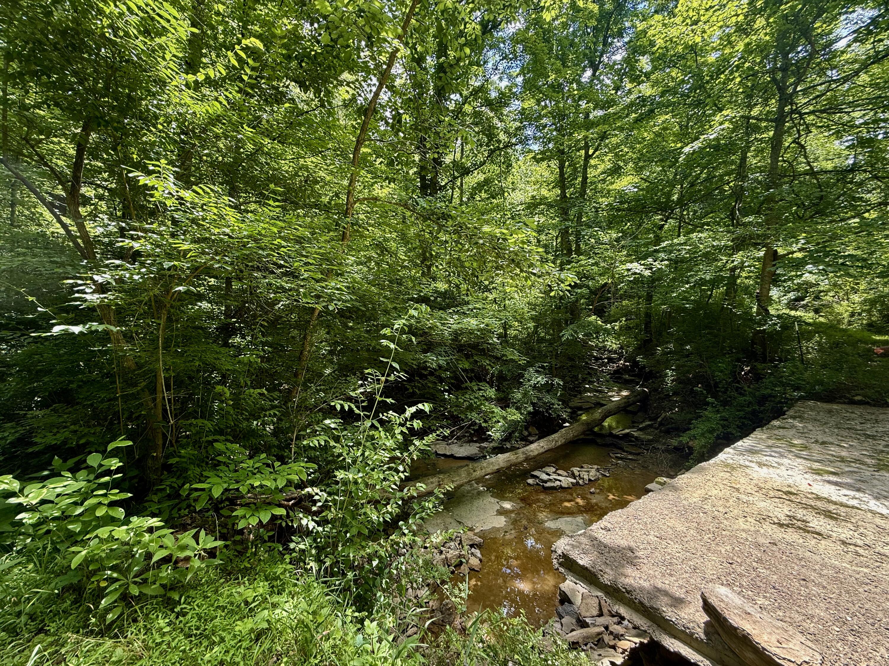 480 Ac Dietrich Road Property Photo 17