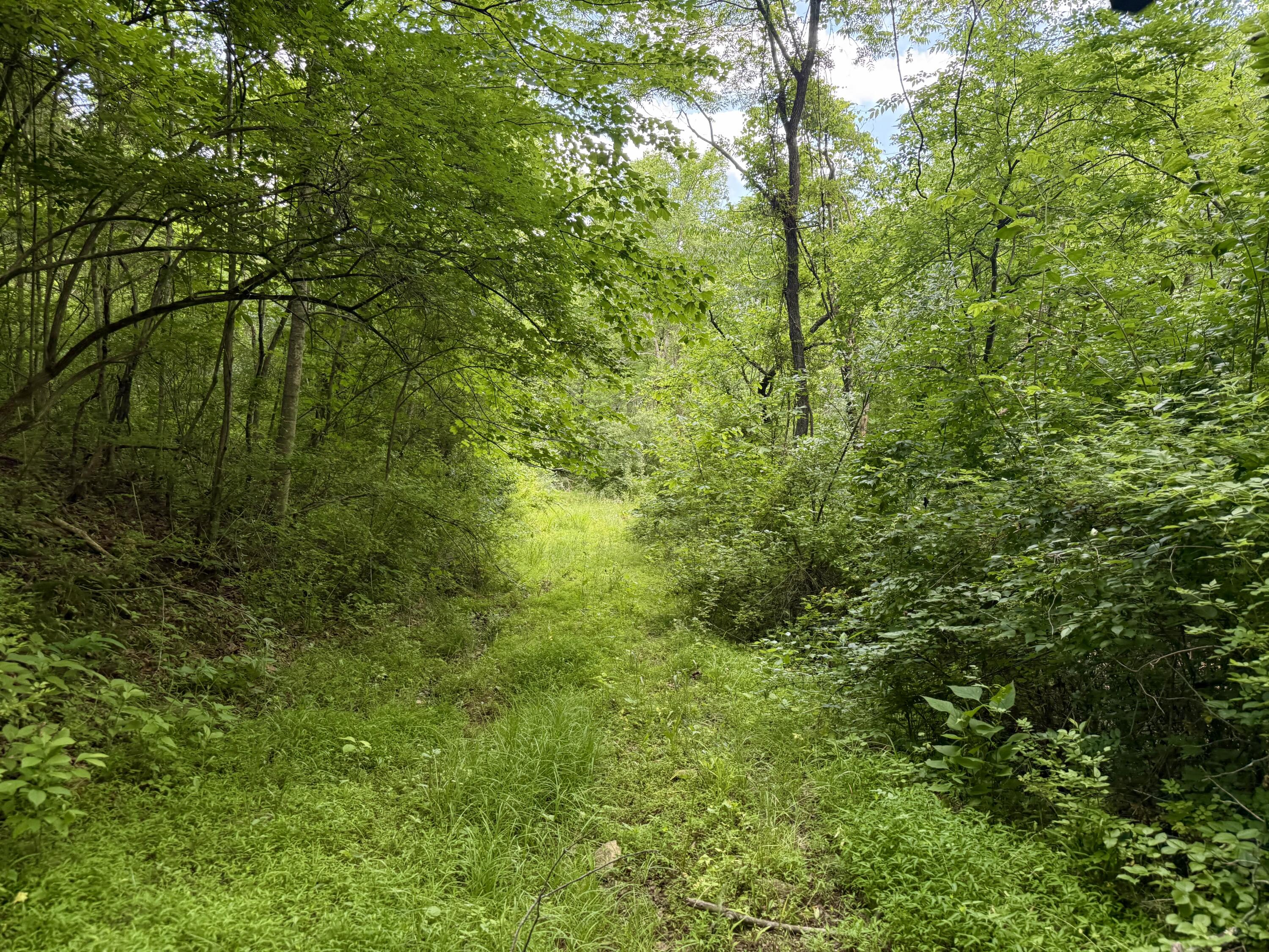 480 Ac Dietrich Road Property Photo 20
