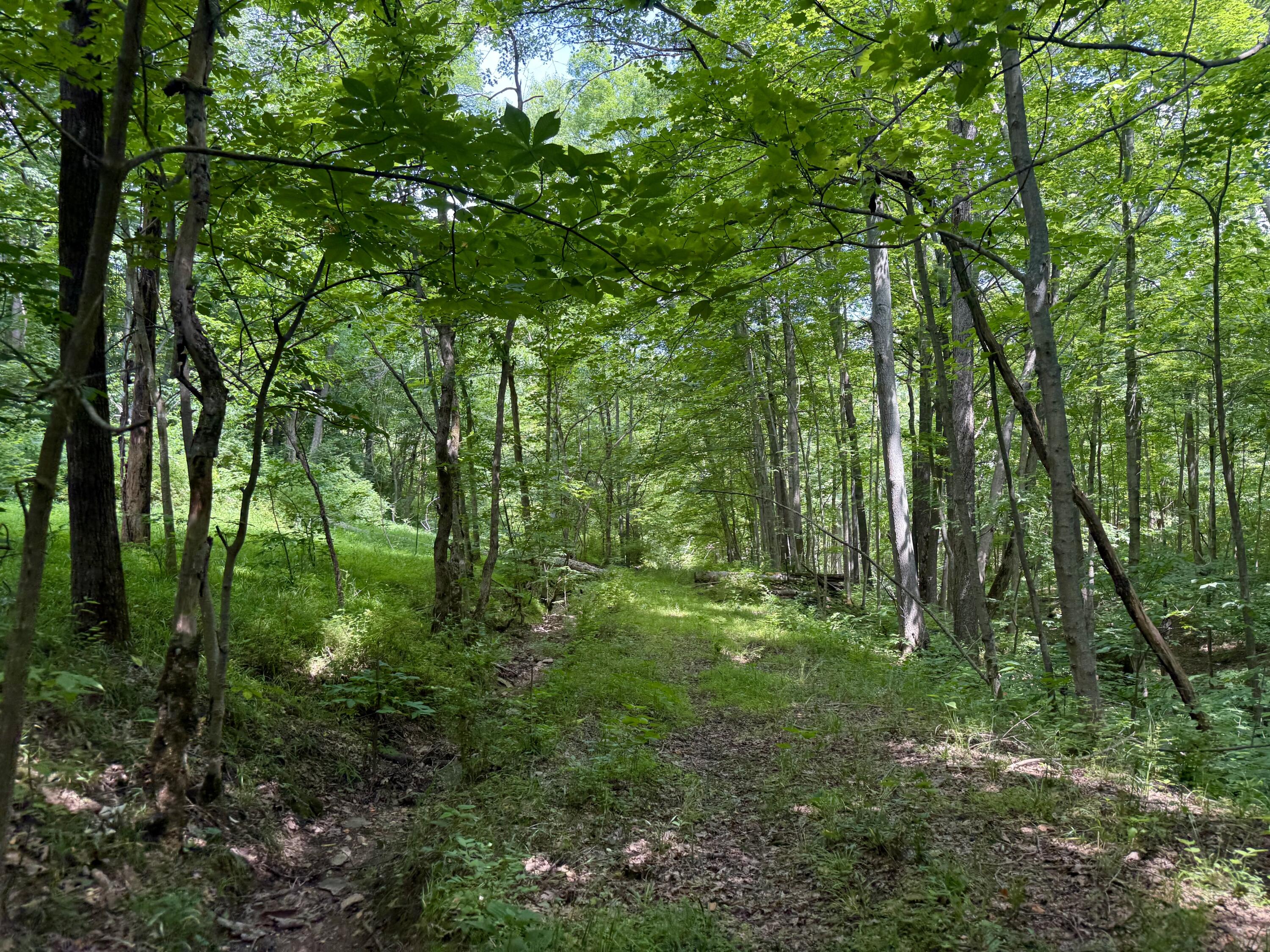 480 Ac Dietrich Road Property Photo 21