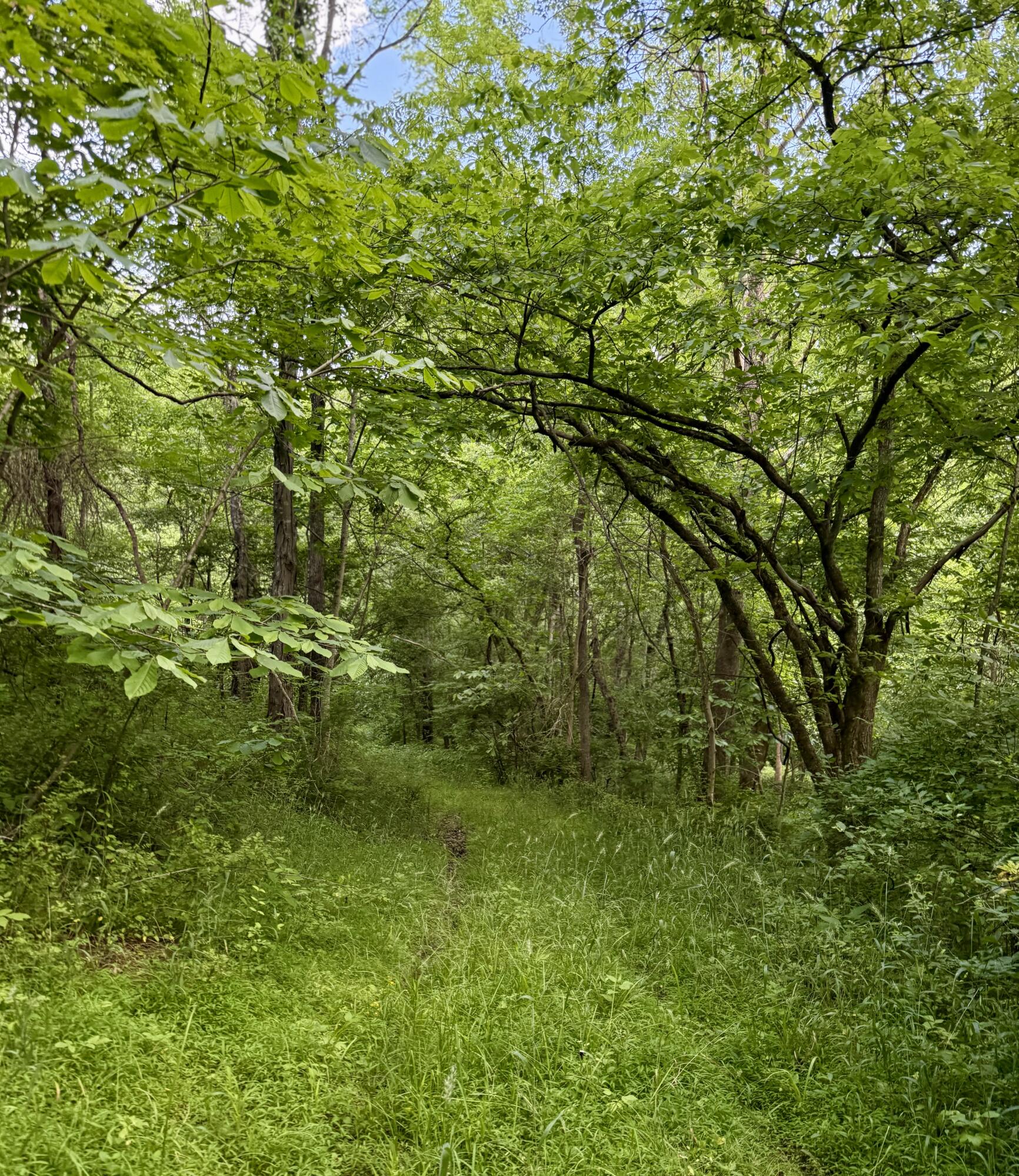 480 Ac Dietrich Road Property Photo 23