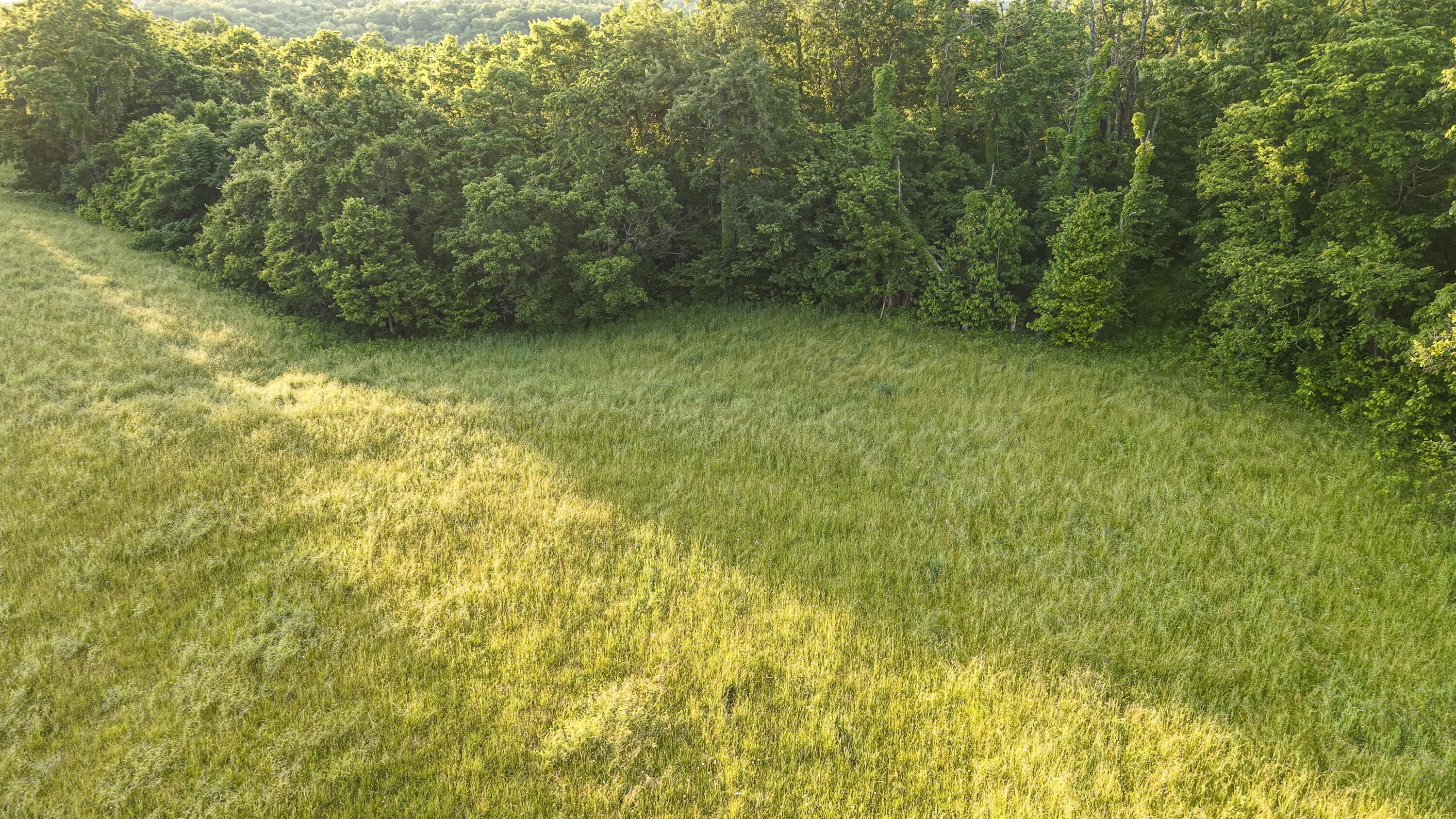 480 Ac Dietrich Road Property Photo 26