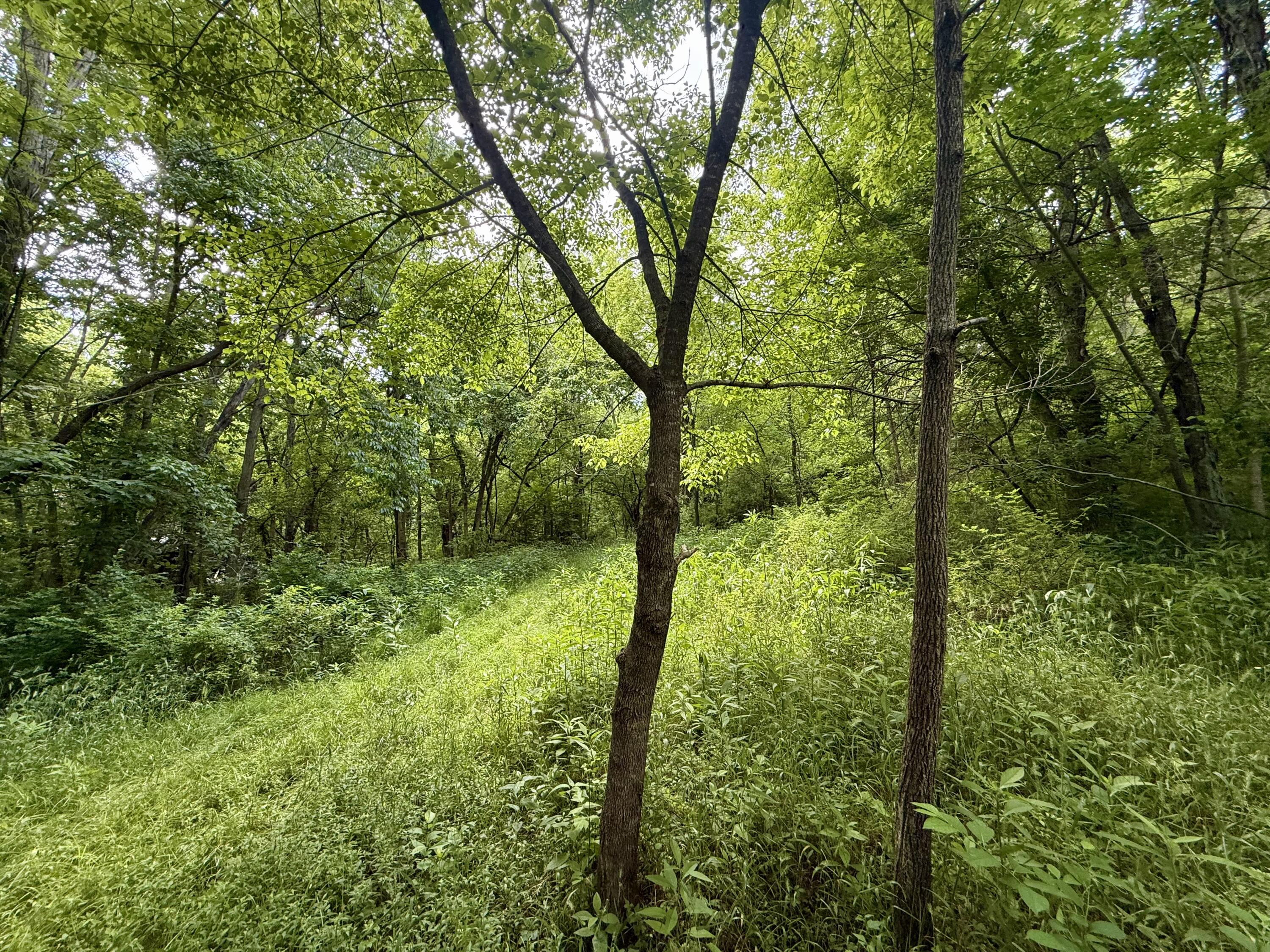 480 Ac Dietrich Road Property Photo 29