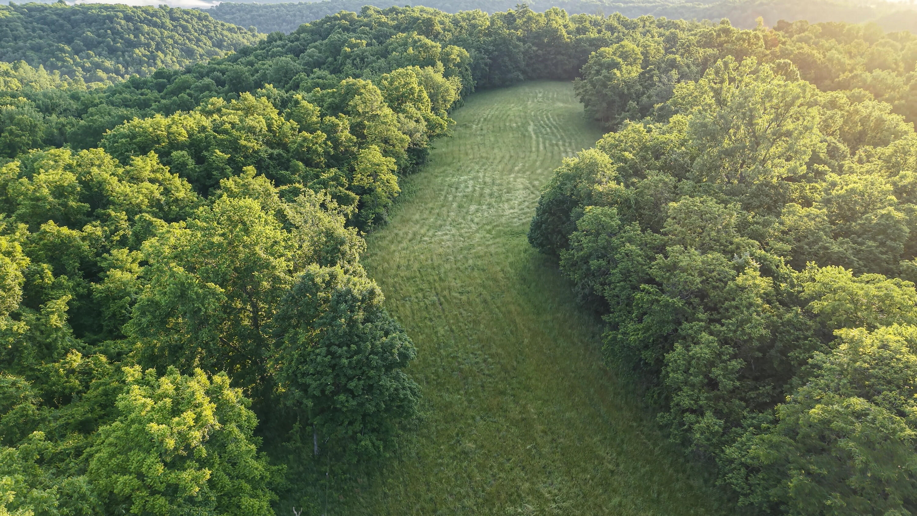 480 Ac Dietrich Road Property Photo 31