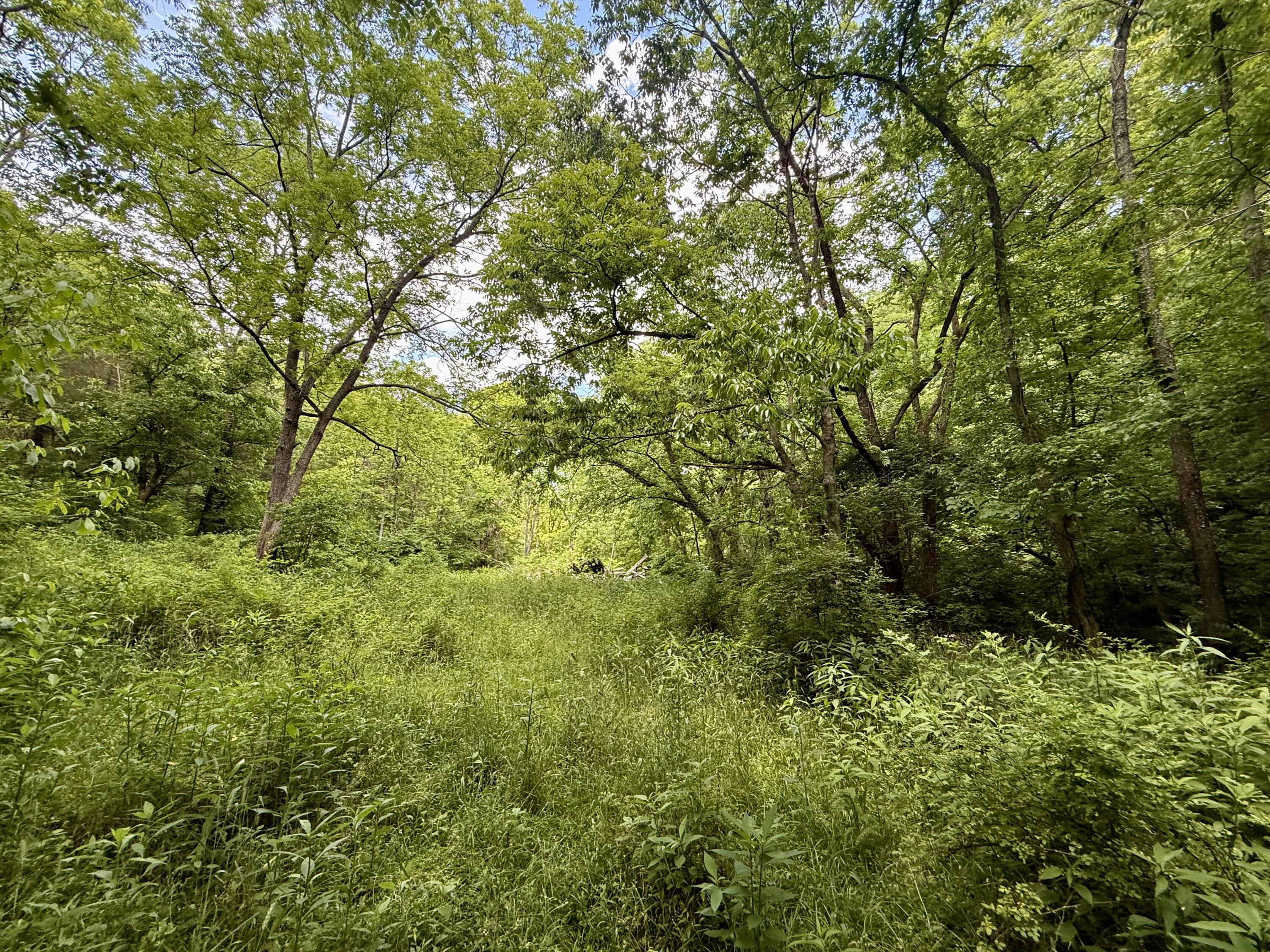 480 Ac Dietrich Road Property Photo 32