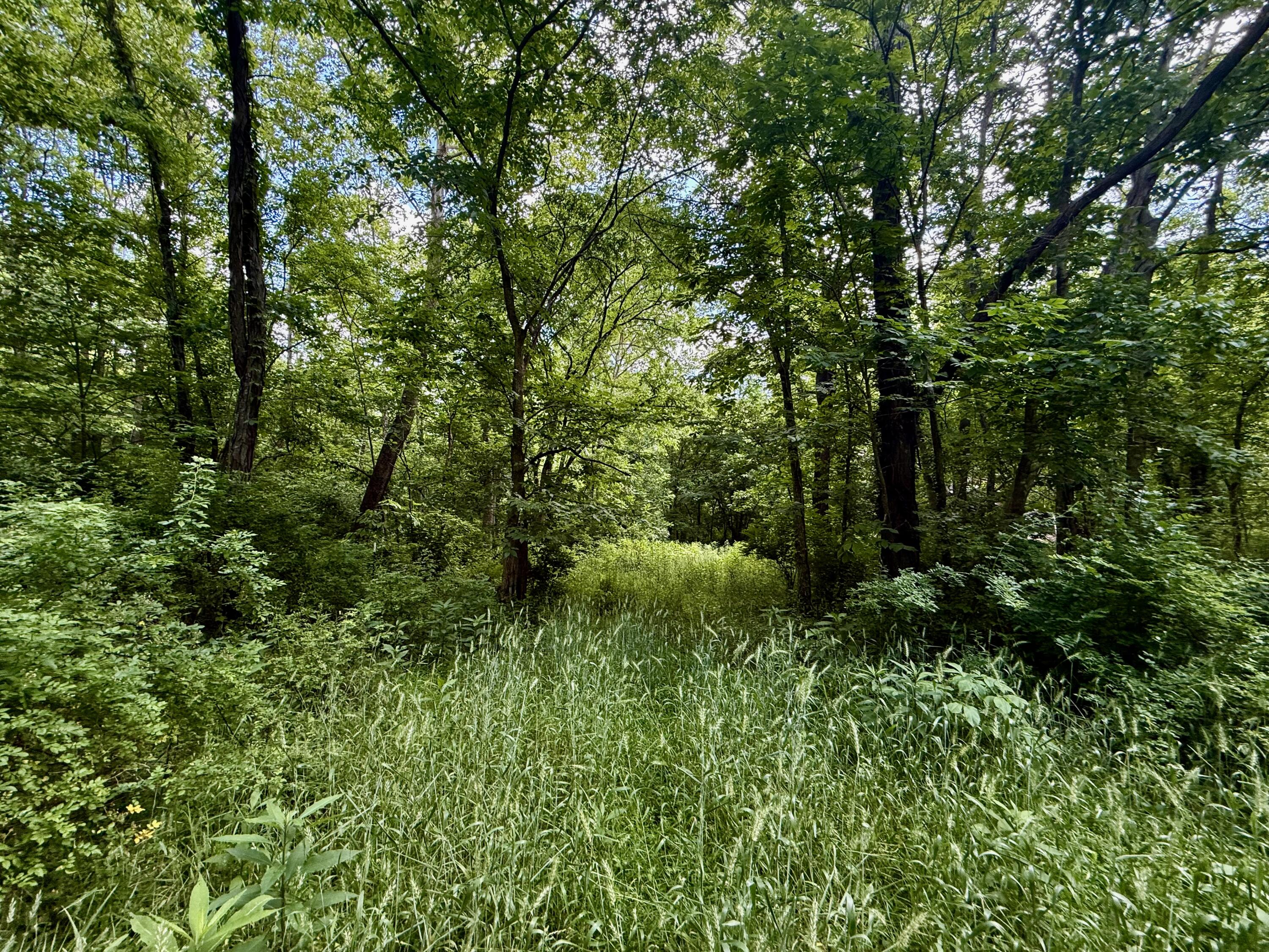 480 Ac Dietrich Road Property Photo 35