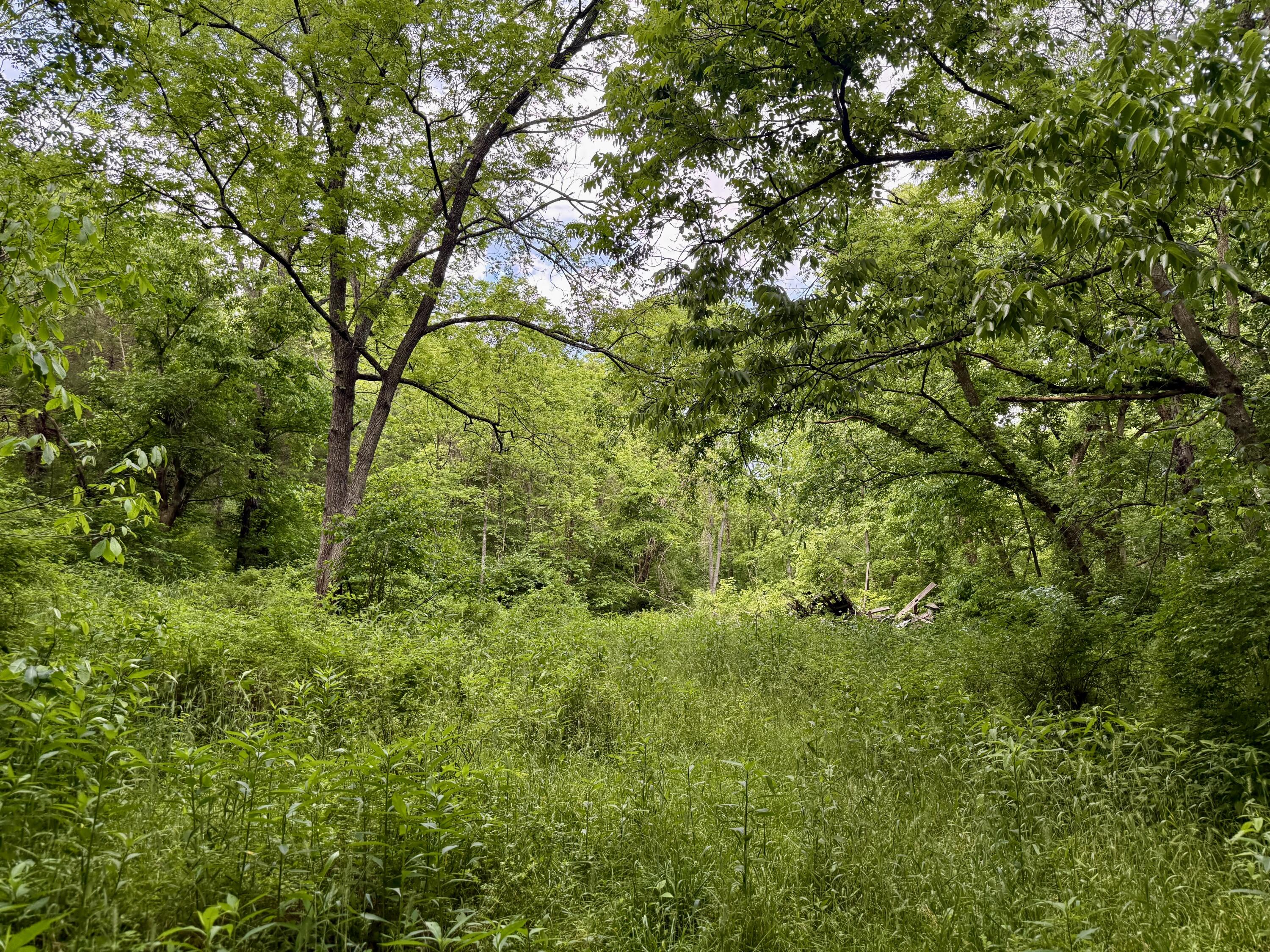 480 Ac Dietrich Road Property Photo 37
