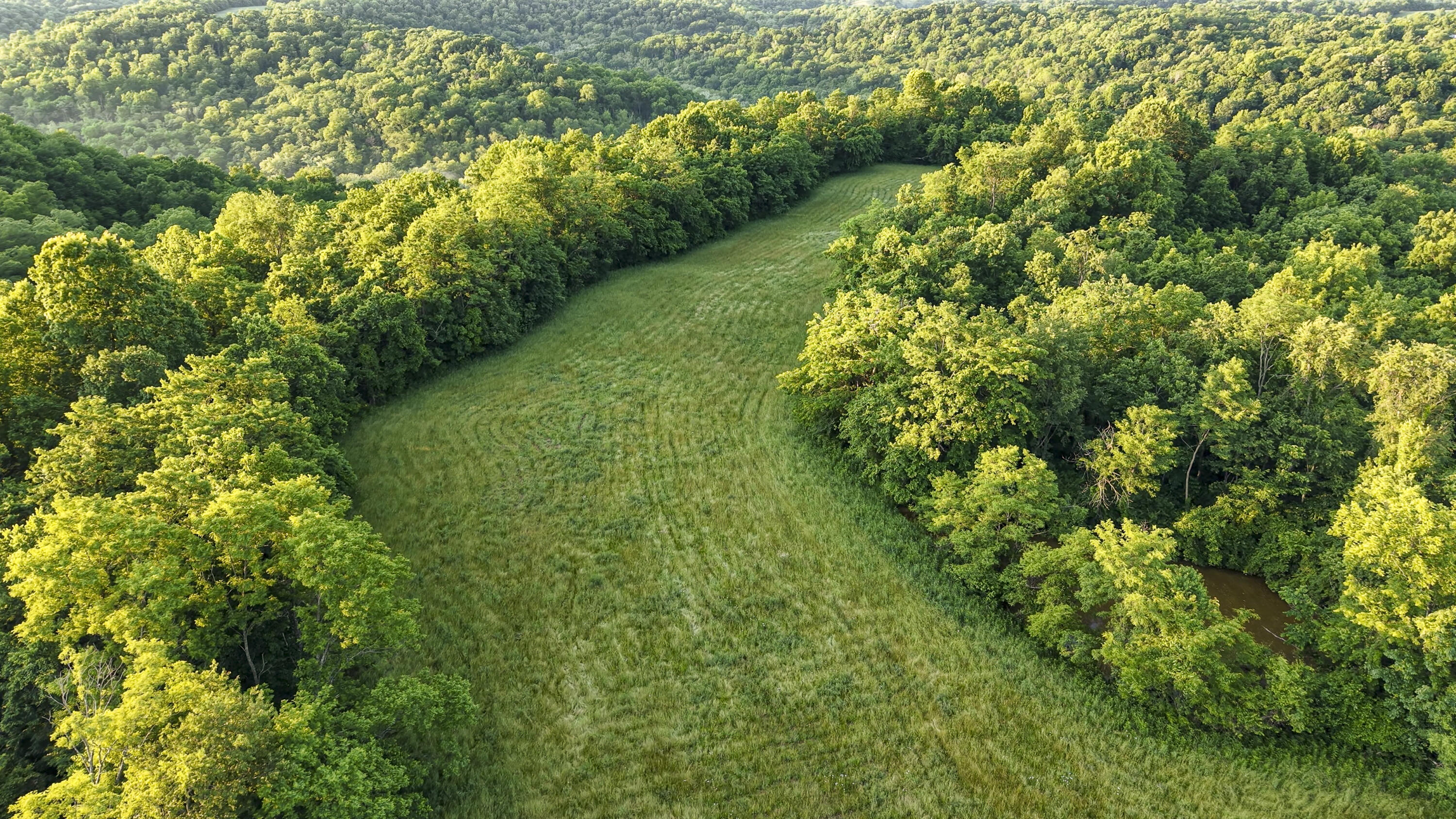 480 Ac Dietrich Road Property Photo 38