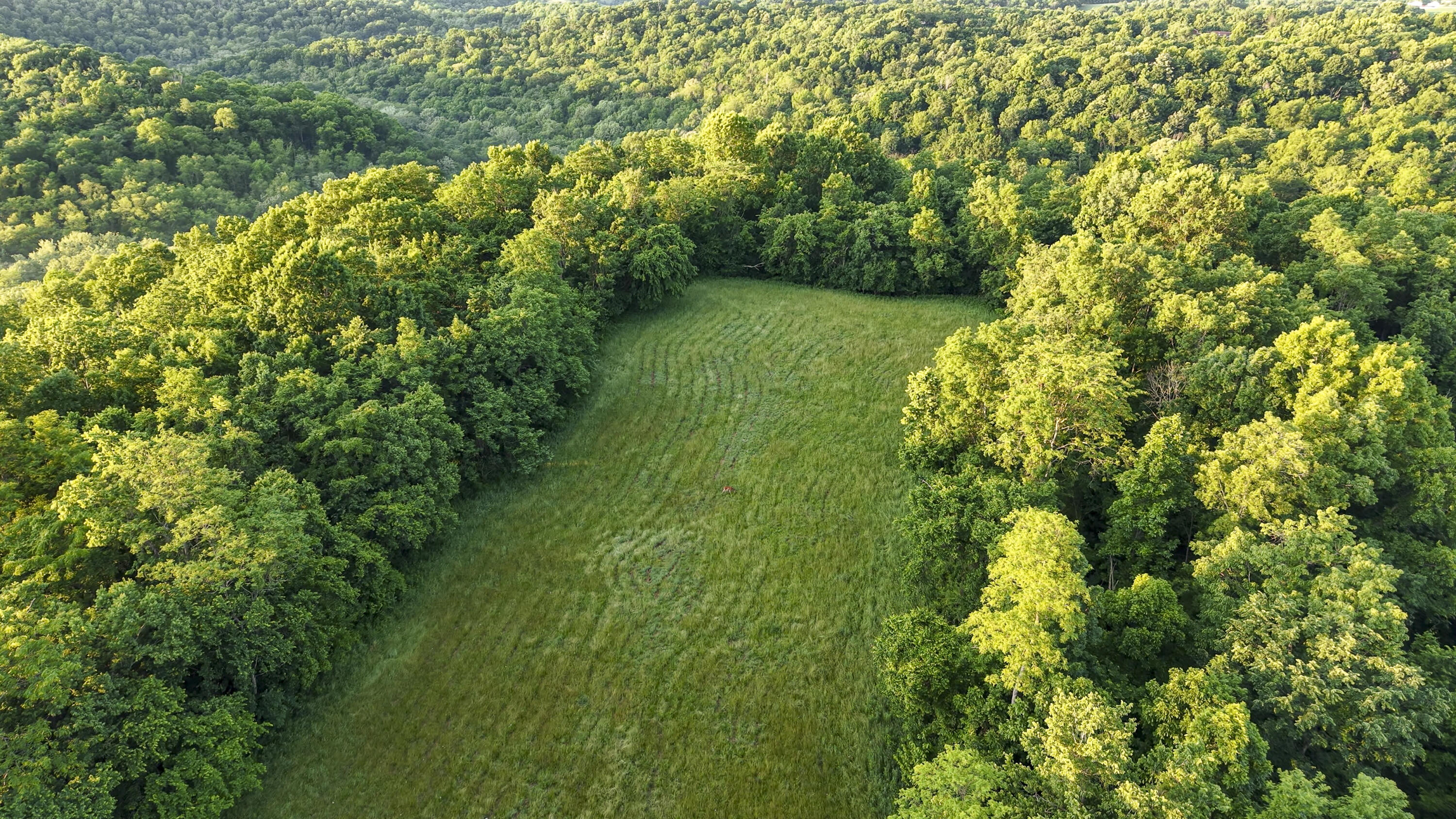 480 Ac Dietrich Road Property Photo 40