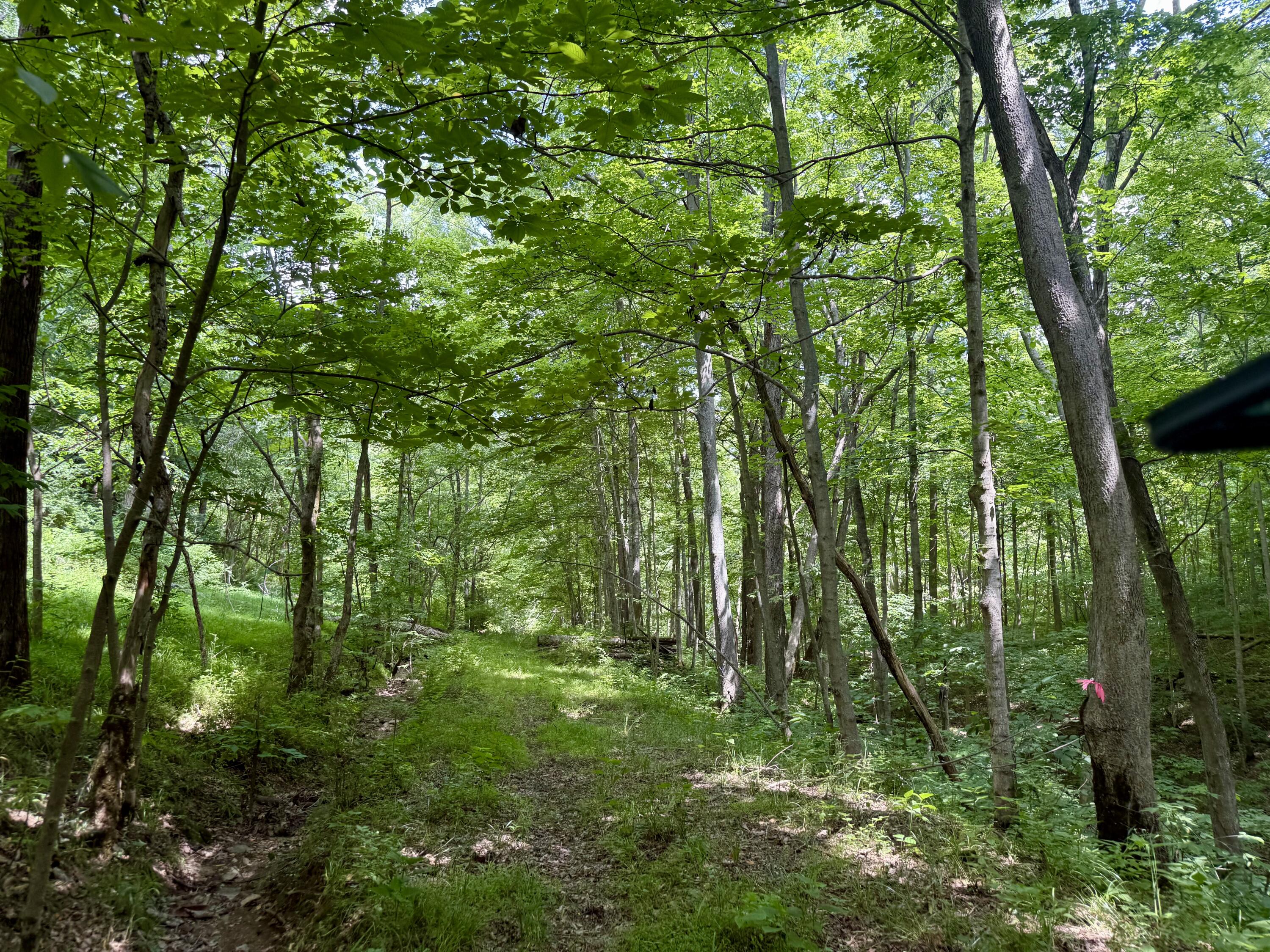 480 Ac Dietrich Road Property Photo 42