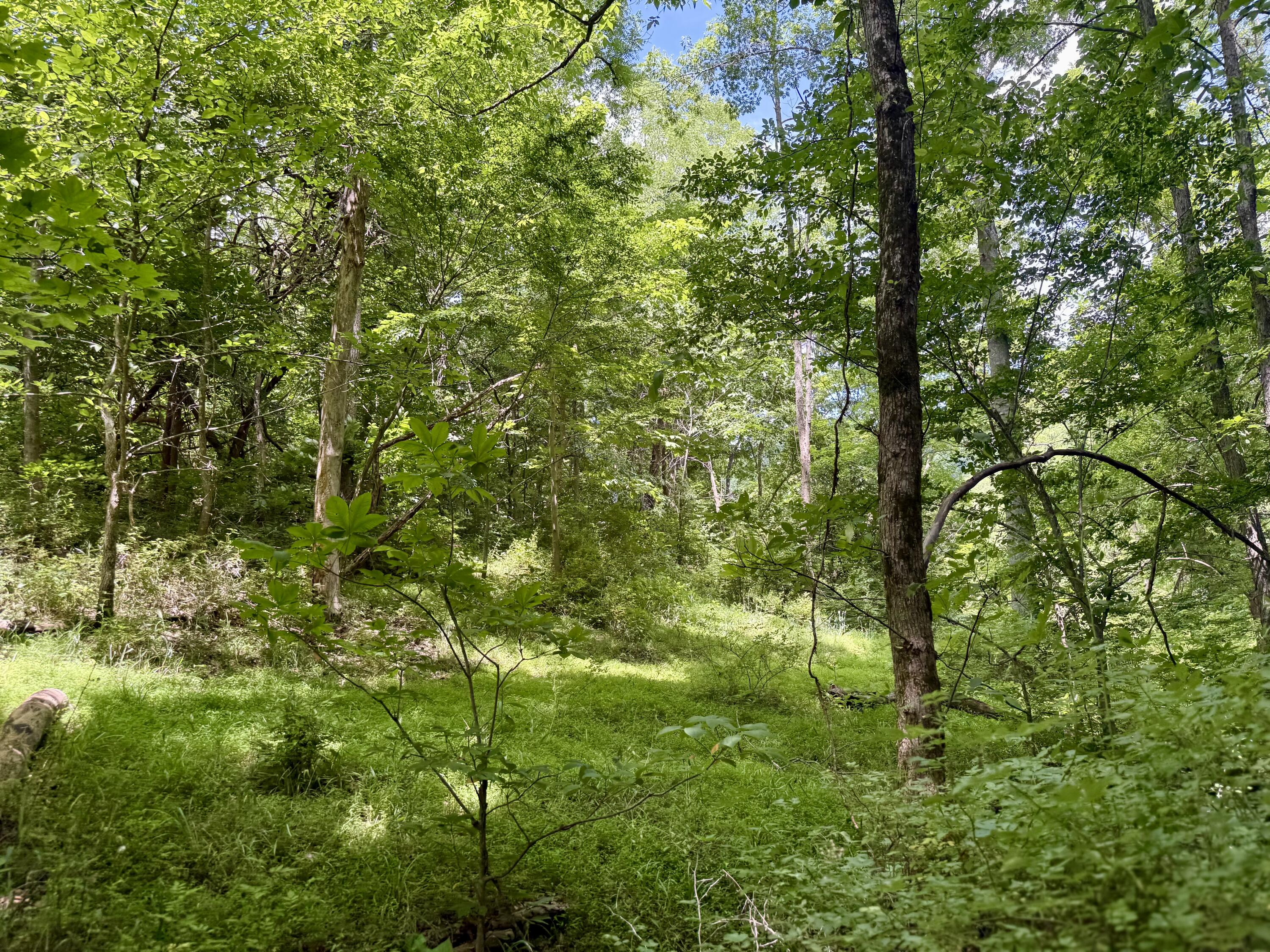 480 Ac Dietrich Road Property Photo 43