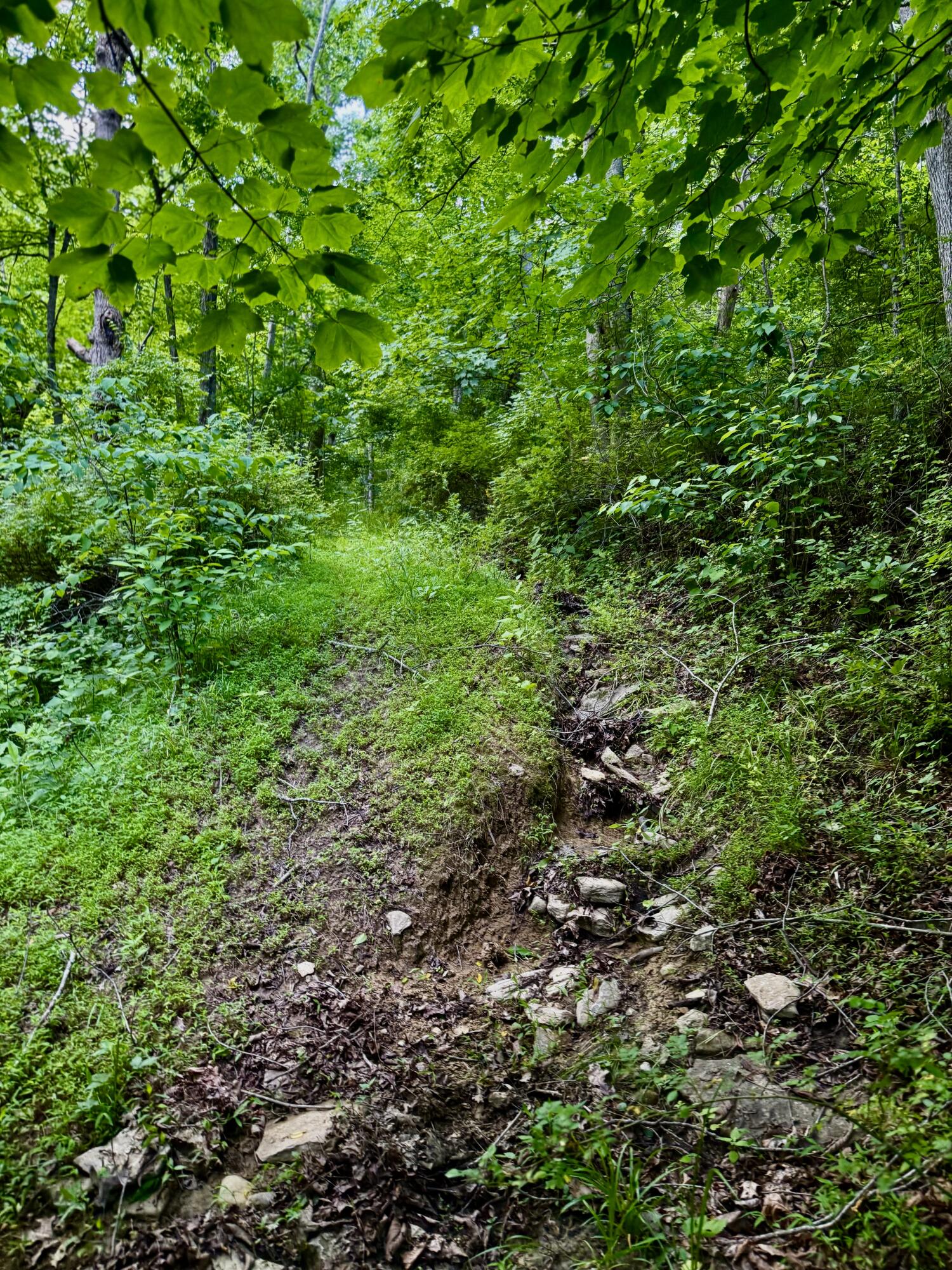 480 Ac Dietrich Road Property Photo 44