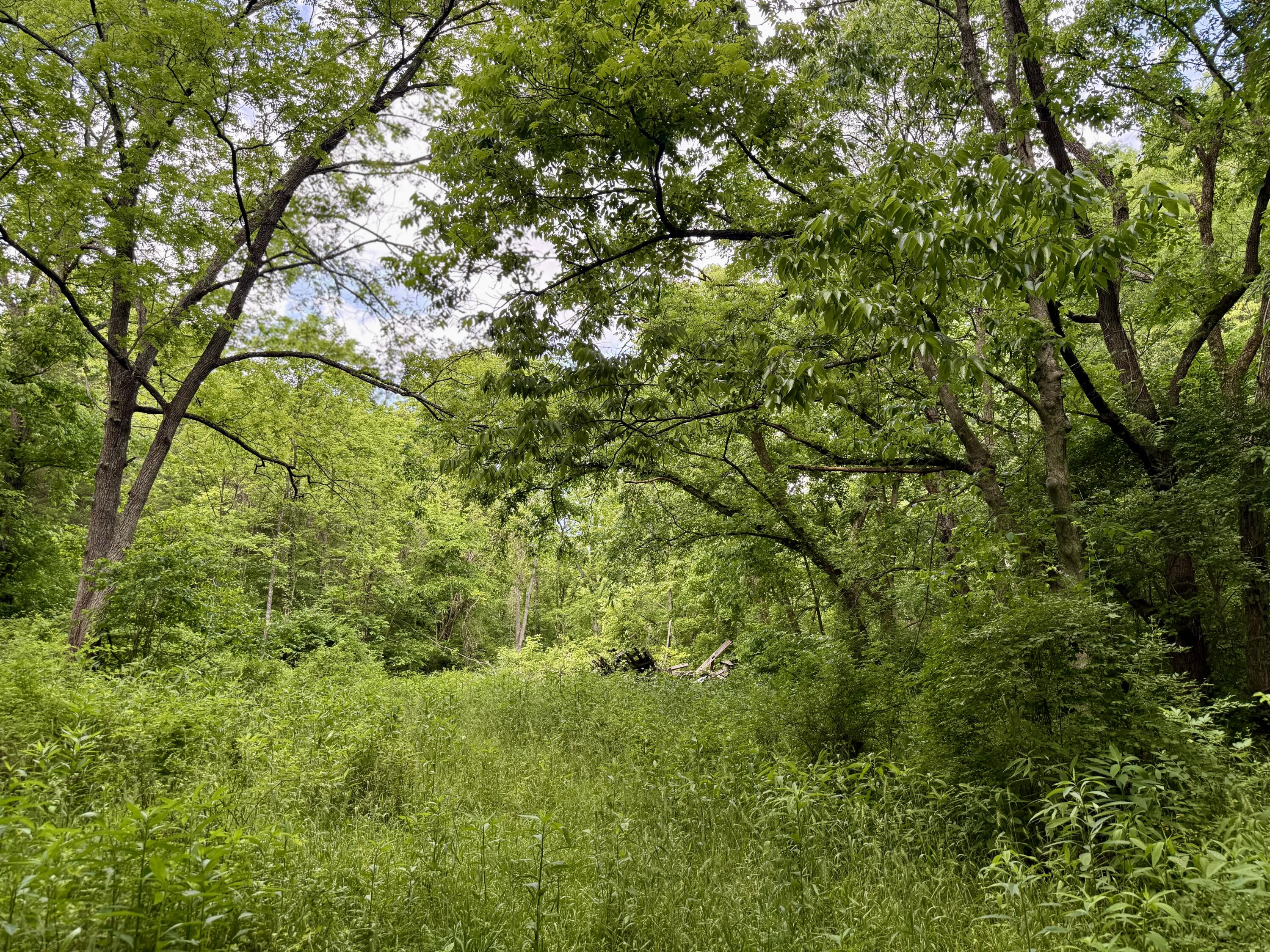 480 Ac Dietrich Road Property Photo 45