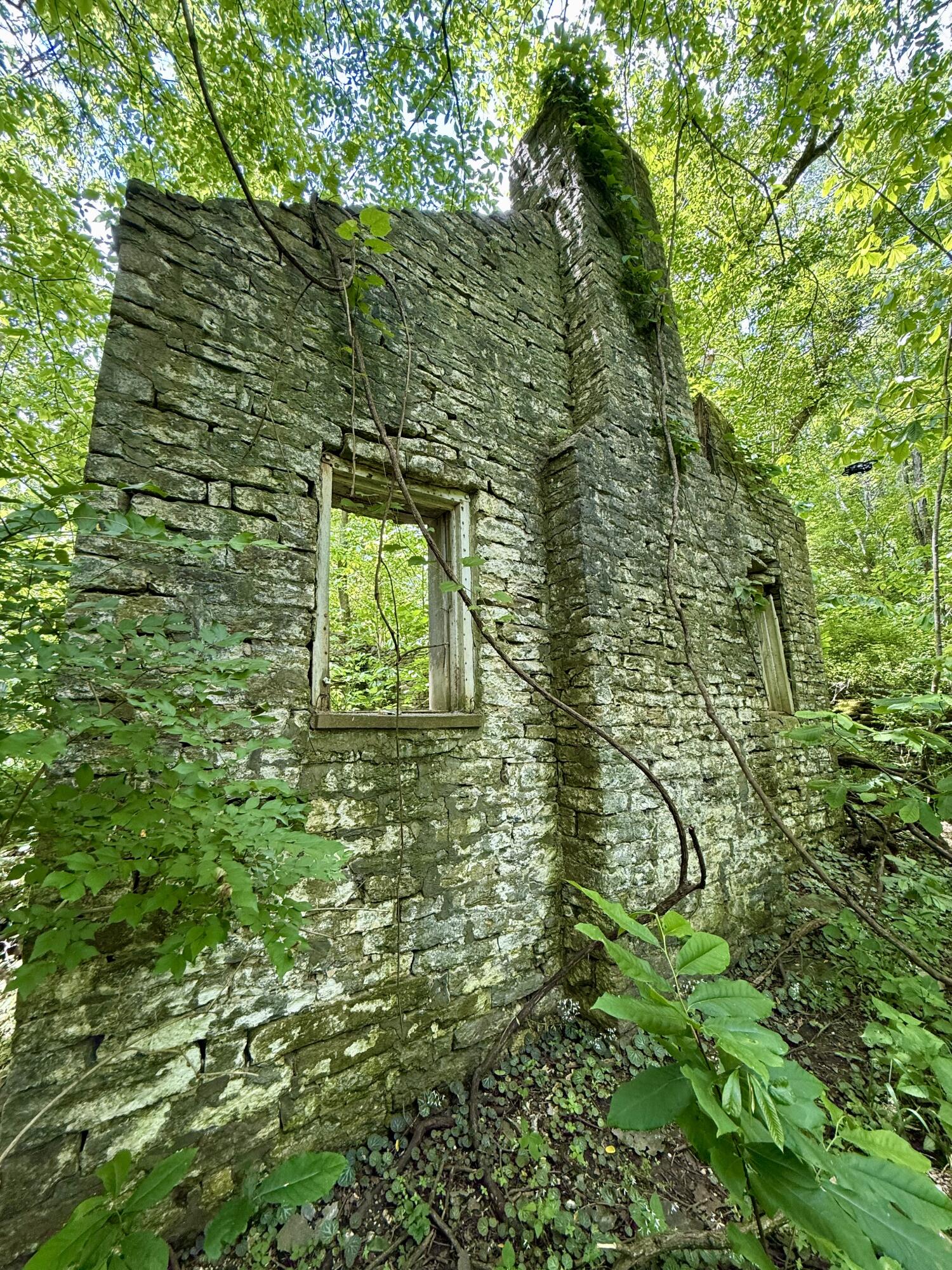 480 Ac Dietrich Road Property Photo 46