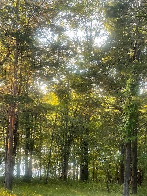 .34 Acre Buckeye Hills Road Property Photo 1