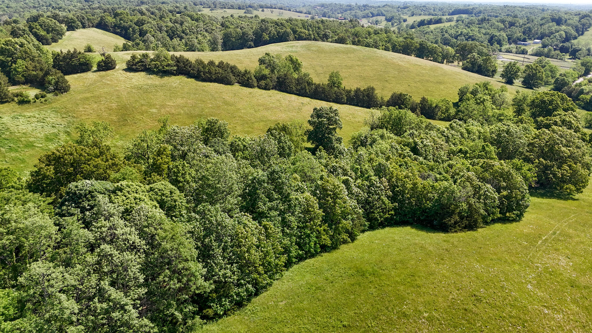 2604 Boyers Chapel Road Property Photo 3