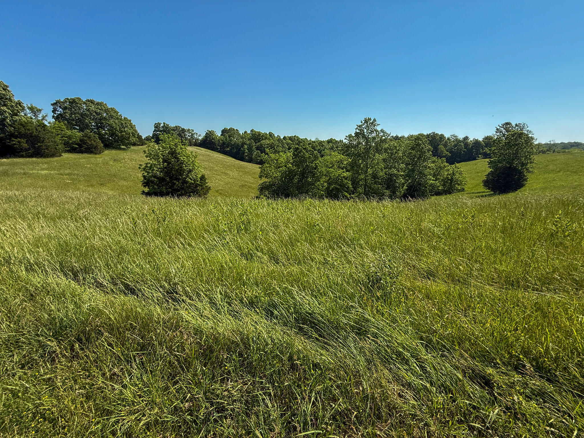 2604 Boyers Chapel Road Property Photo 5