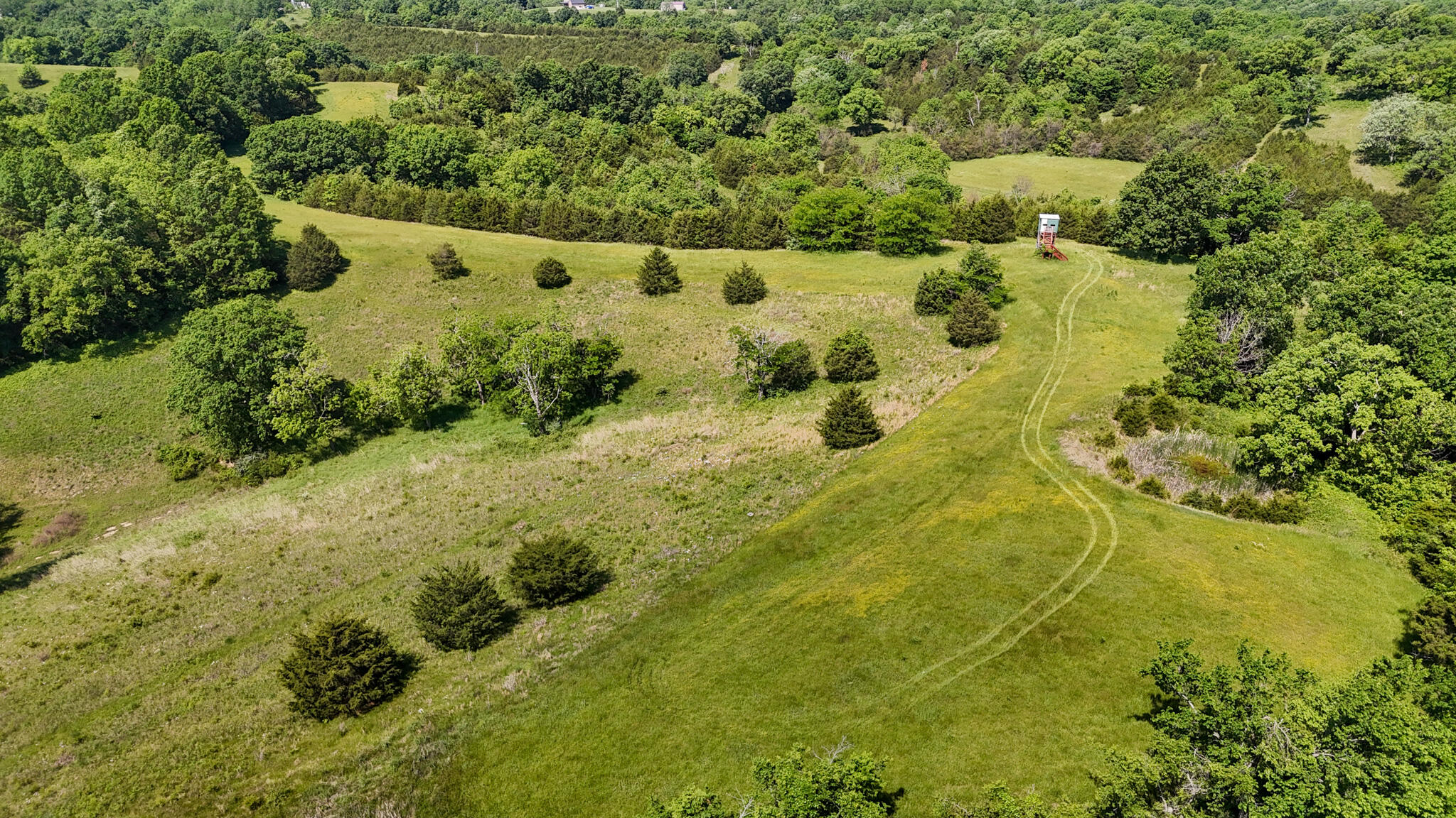 2604 Boyers Chapel Road Property Photo 13