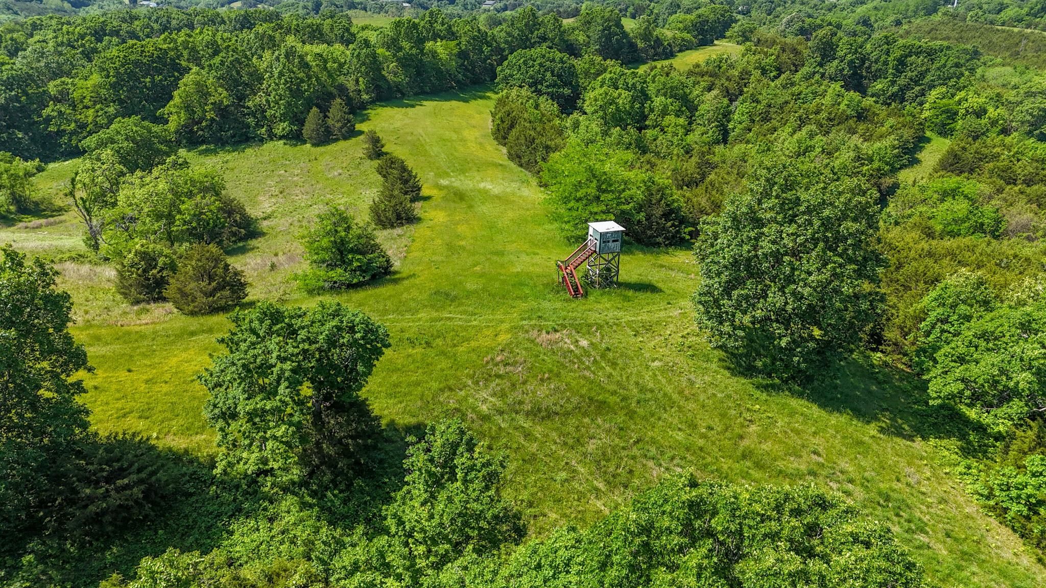 2604 Boyers Chapel Road Property Photo 15