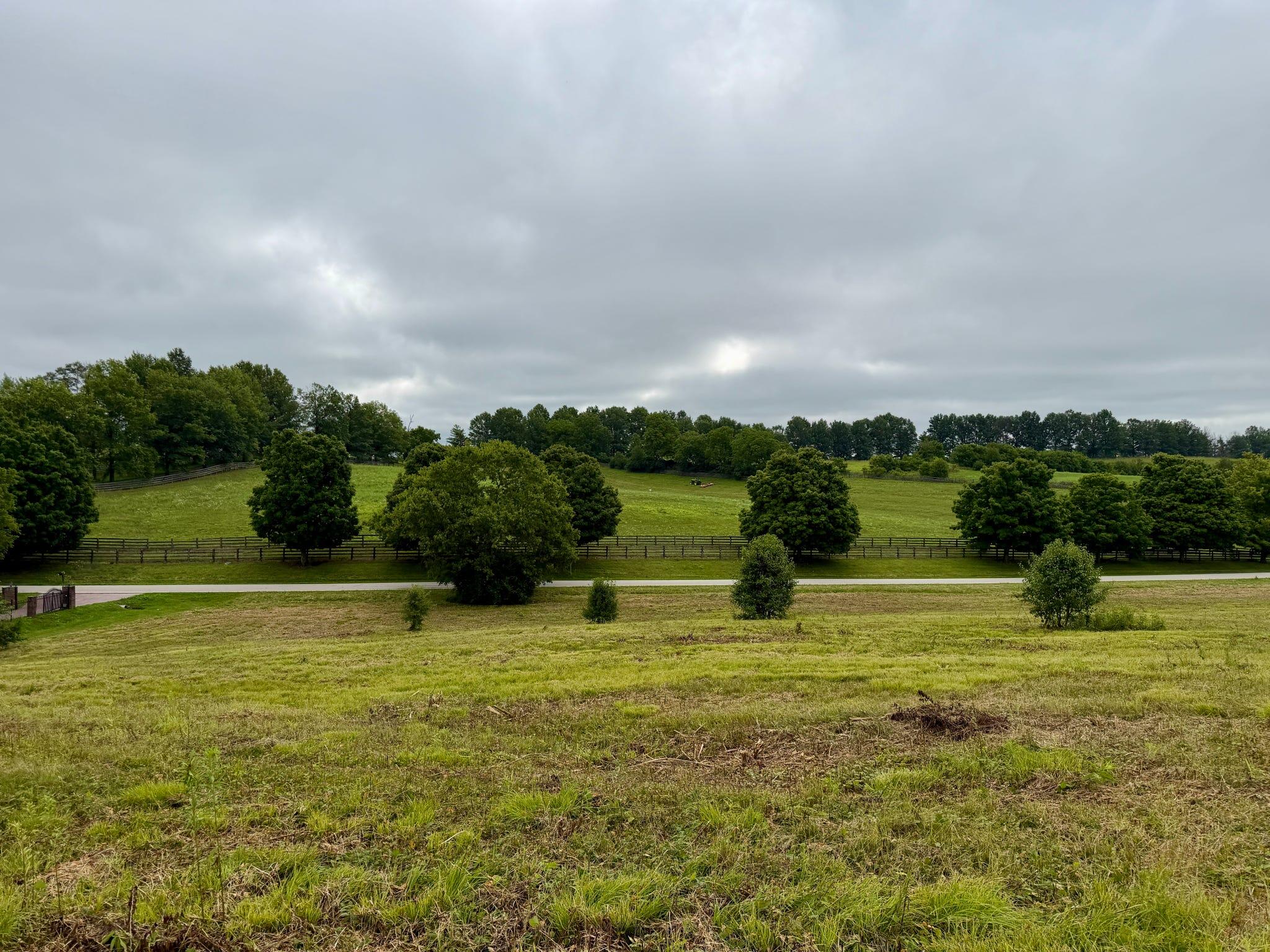 9a Walnut Grove Road Property Photo 6