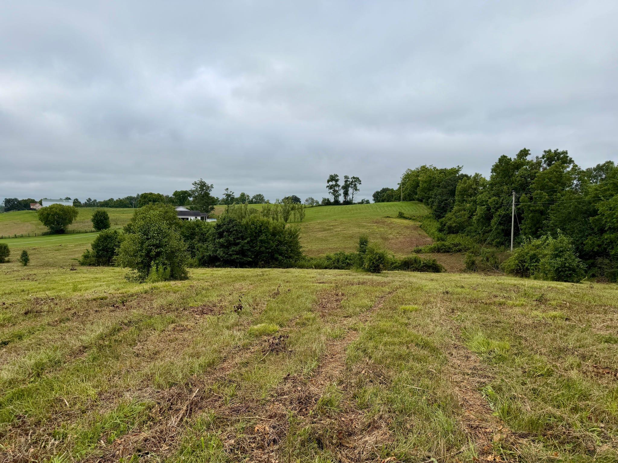 9a Walnut Grove Road Property Photo 7