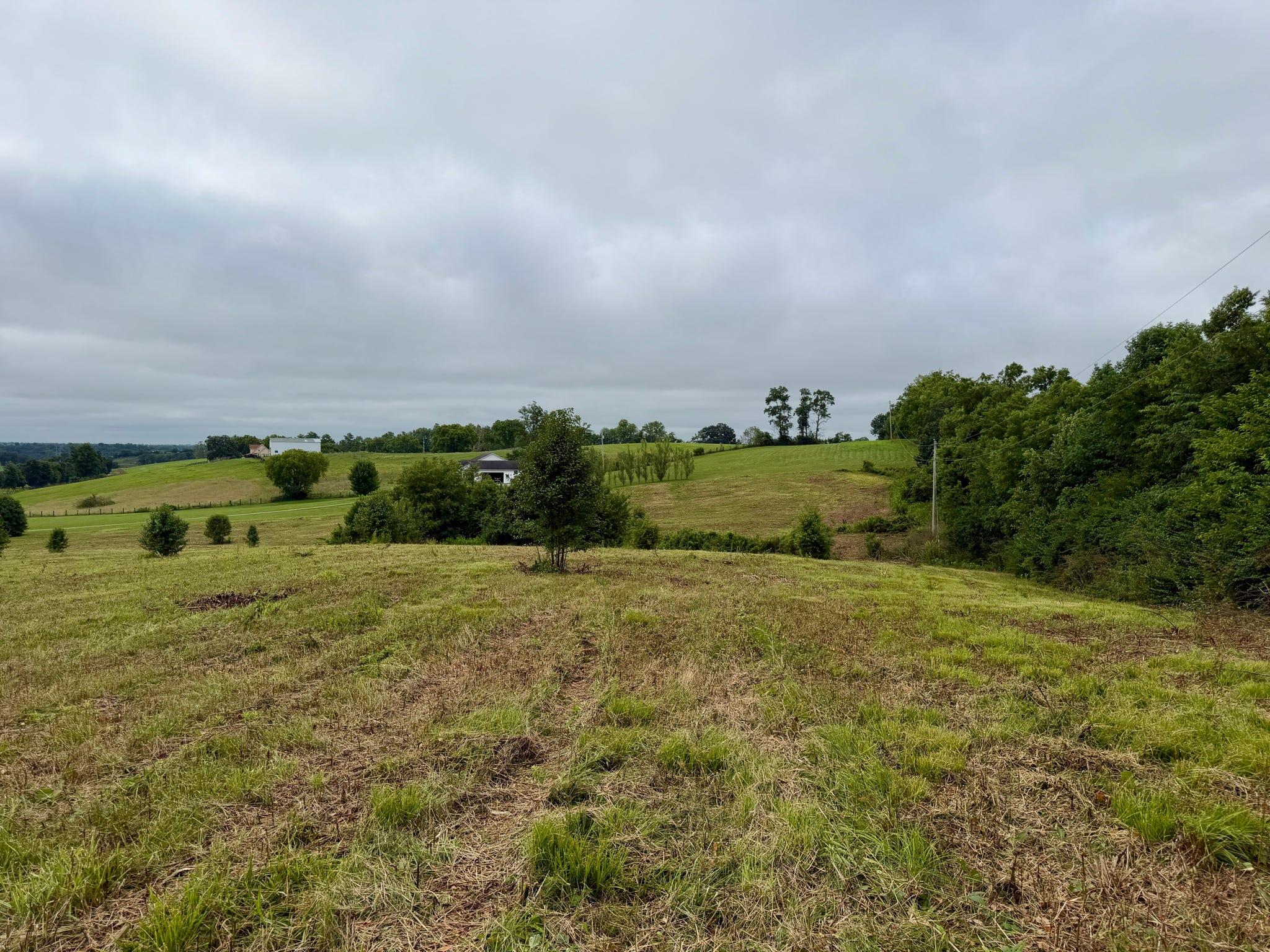 9a Walnut Grove Road Property Photo 8