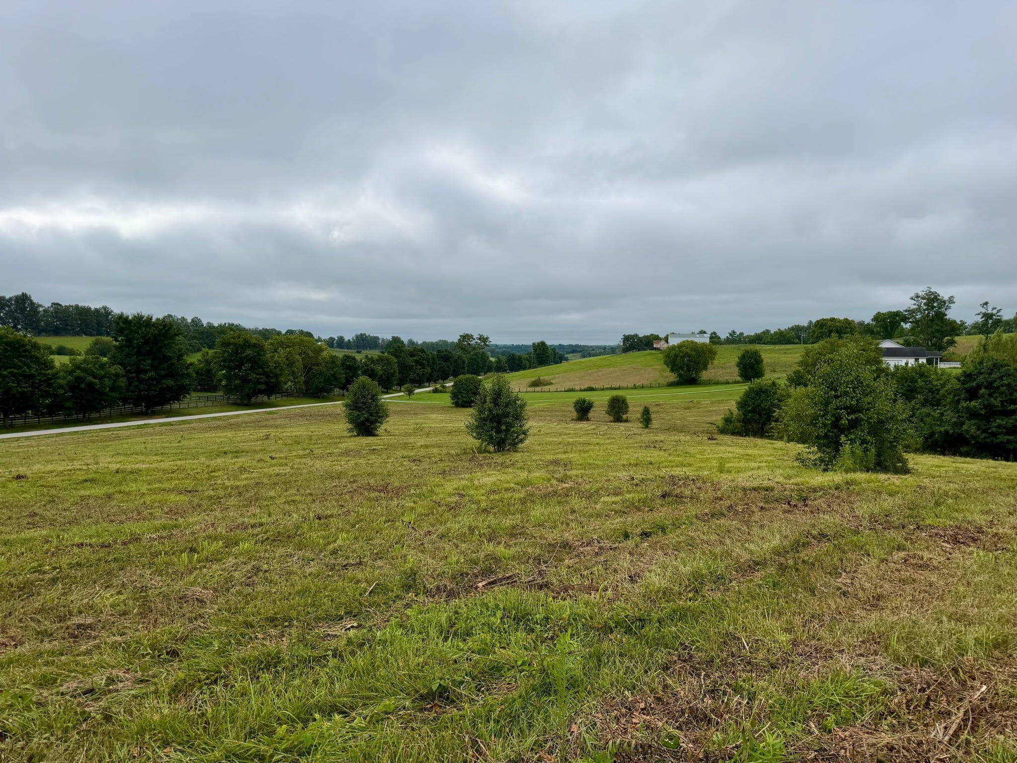 9a Walnut Grove Road Property Photo 9