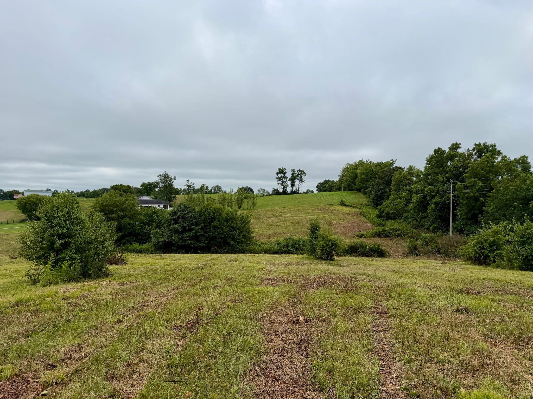 9a Walnut Grove Road Property Photo 10