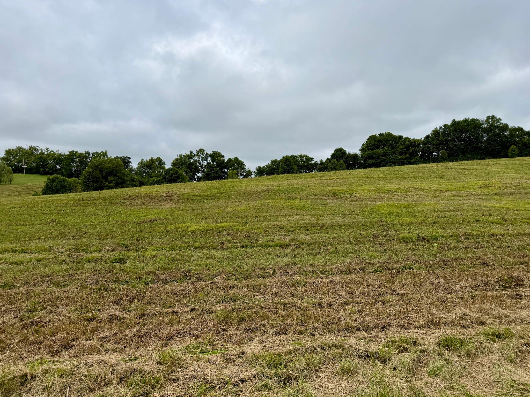 9a Walnut Grove Road Property Photo 11